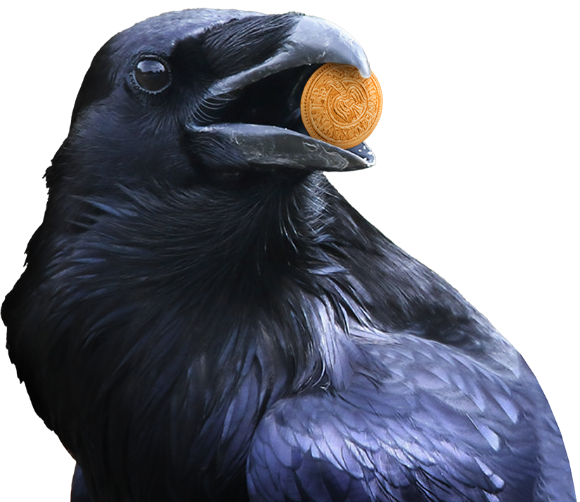 A black crow with its beak open holding a gold coin in its mouth.