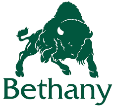 Logo of Bethany featuring a stylized lion with flowing mane and the word Bethany underneath.