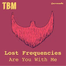 "Are You With Me" by Belgian DJ Lost Frequencies