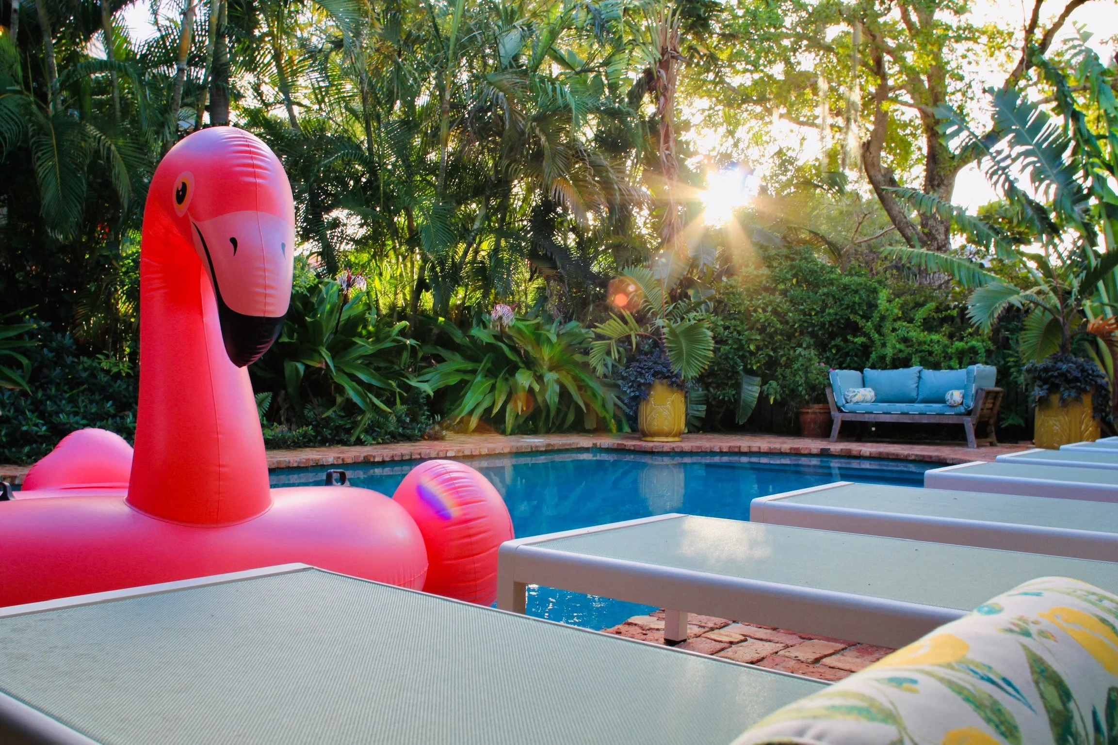 The Citrus Cottage at sundown