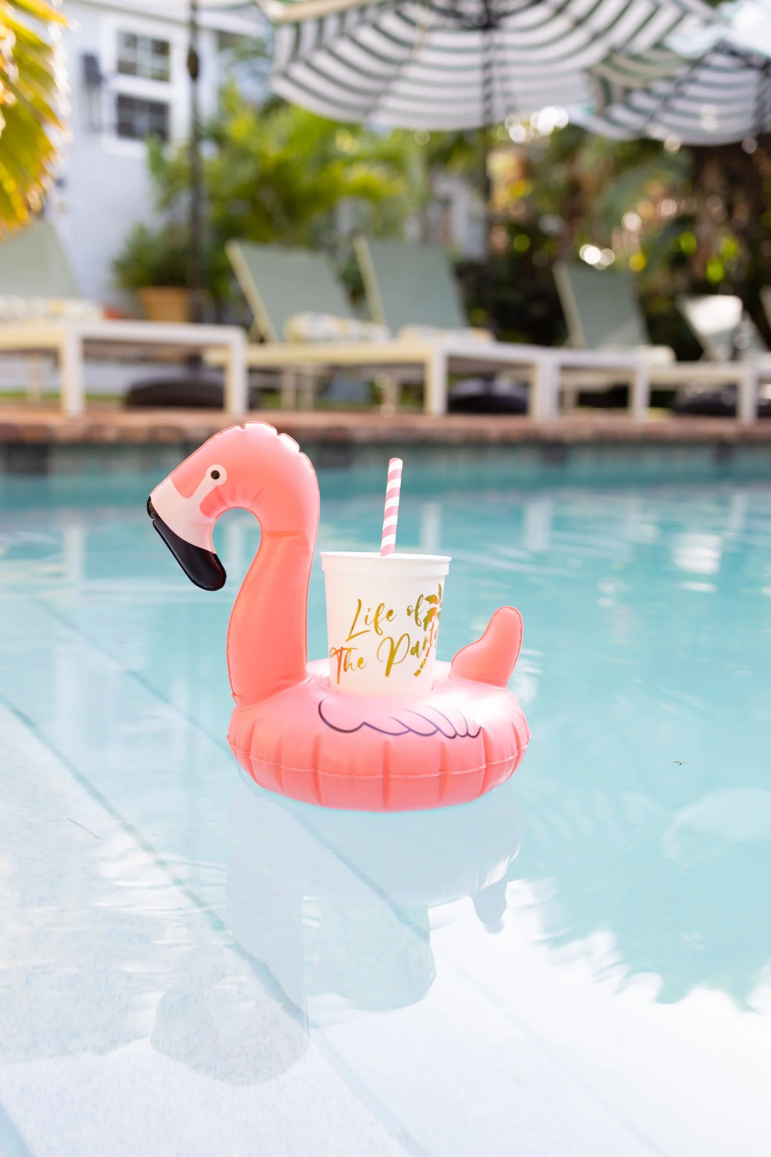 Mini Felicia Drink Floaties (Pack of 3)