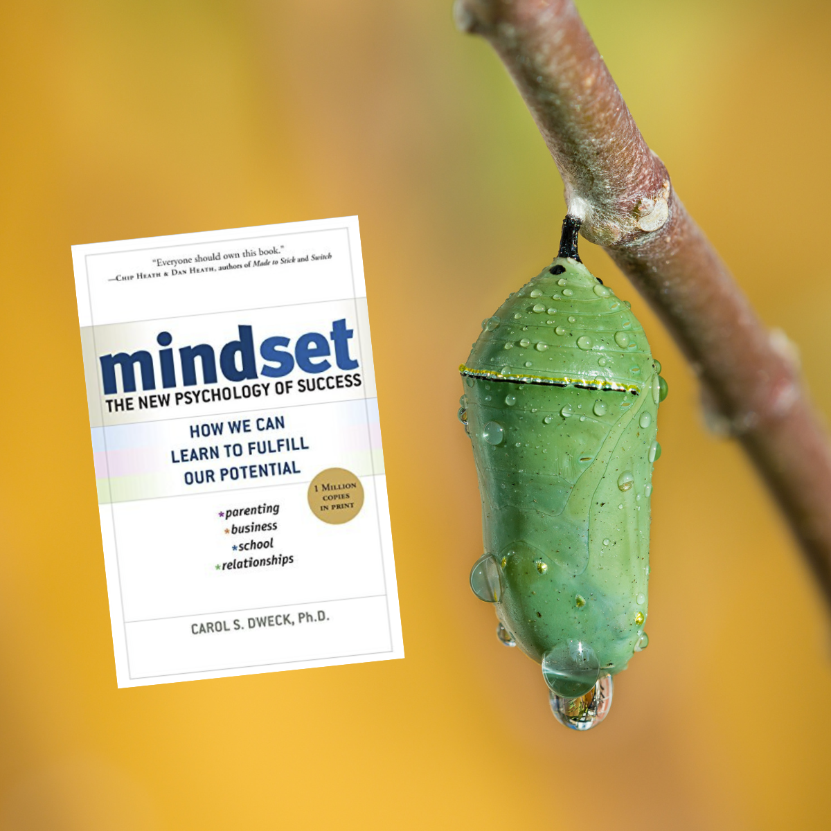 Mindset