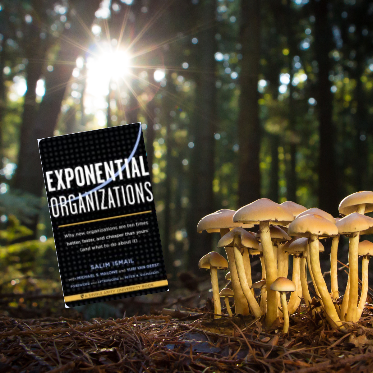 Exponential Organizations