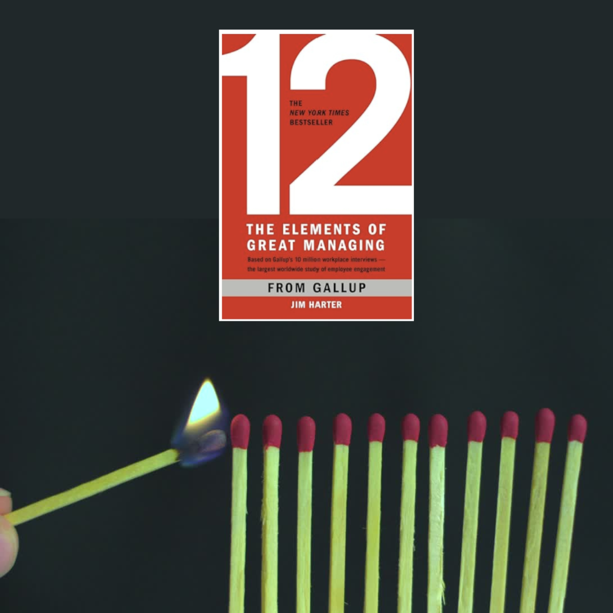 12: The Elements of Great Management