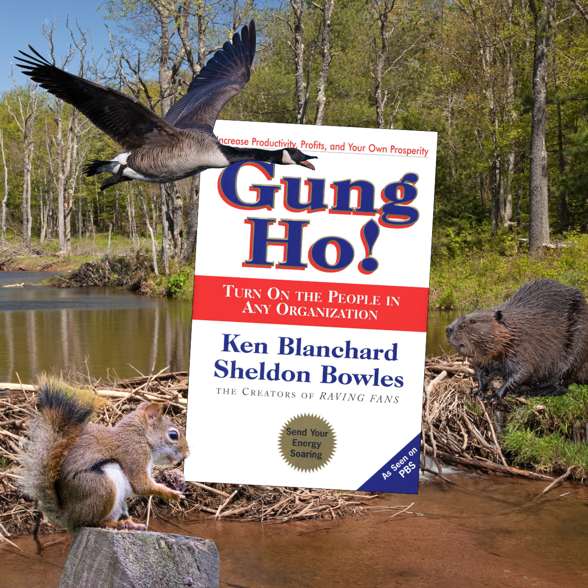 Gung Ho!