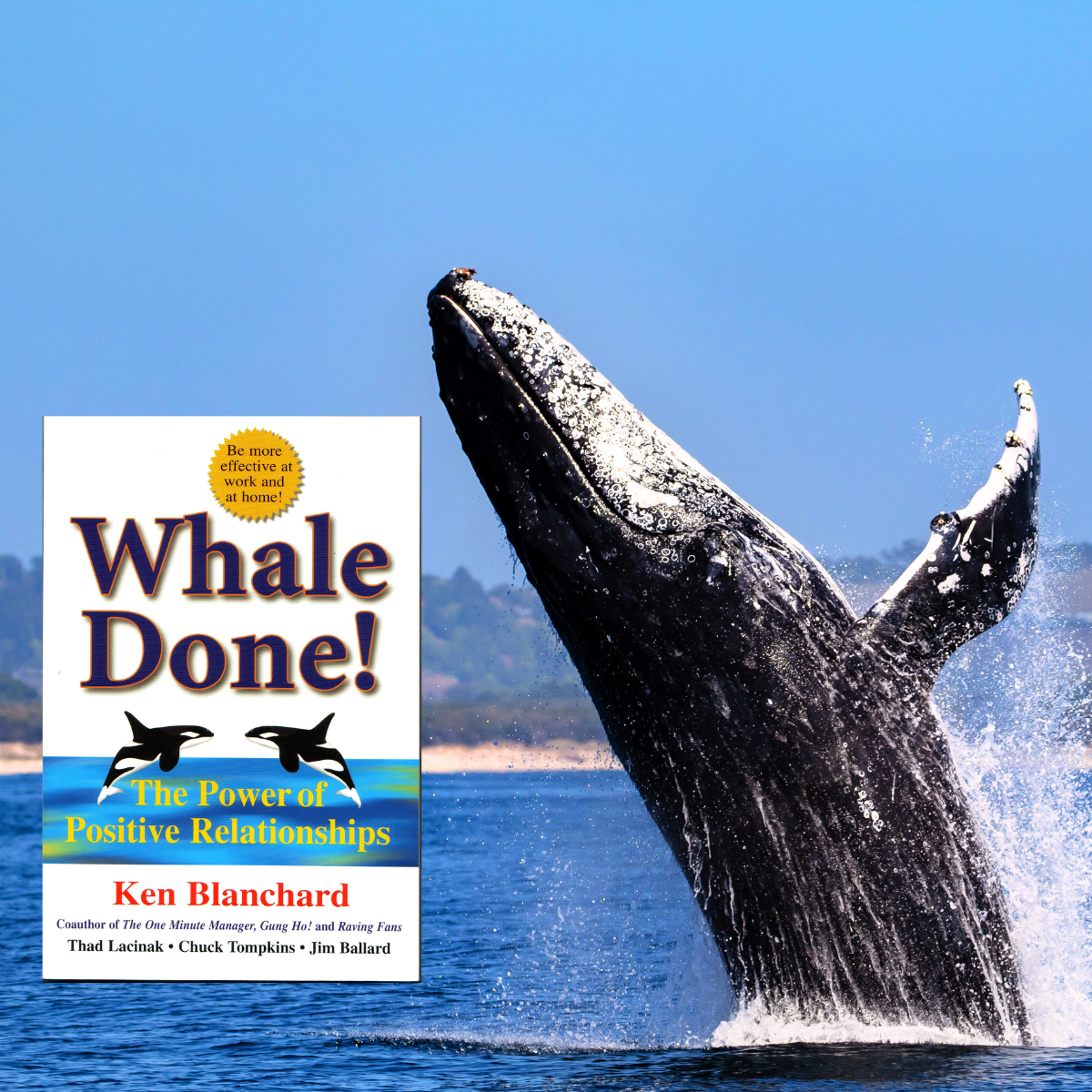 Whale Done!