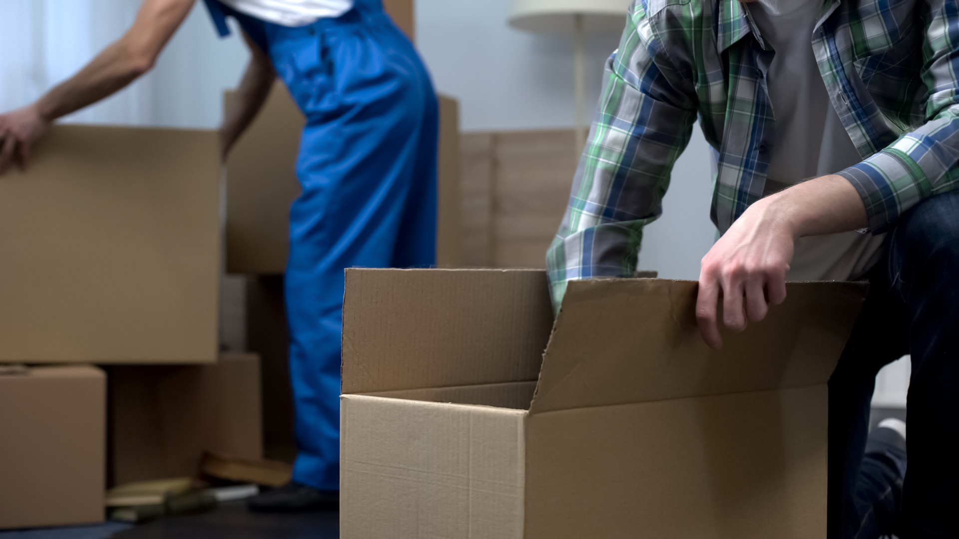 Sydney removals
