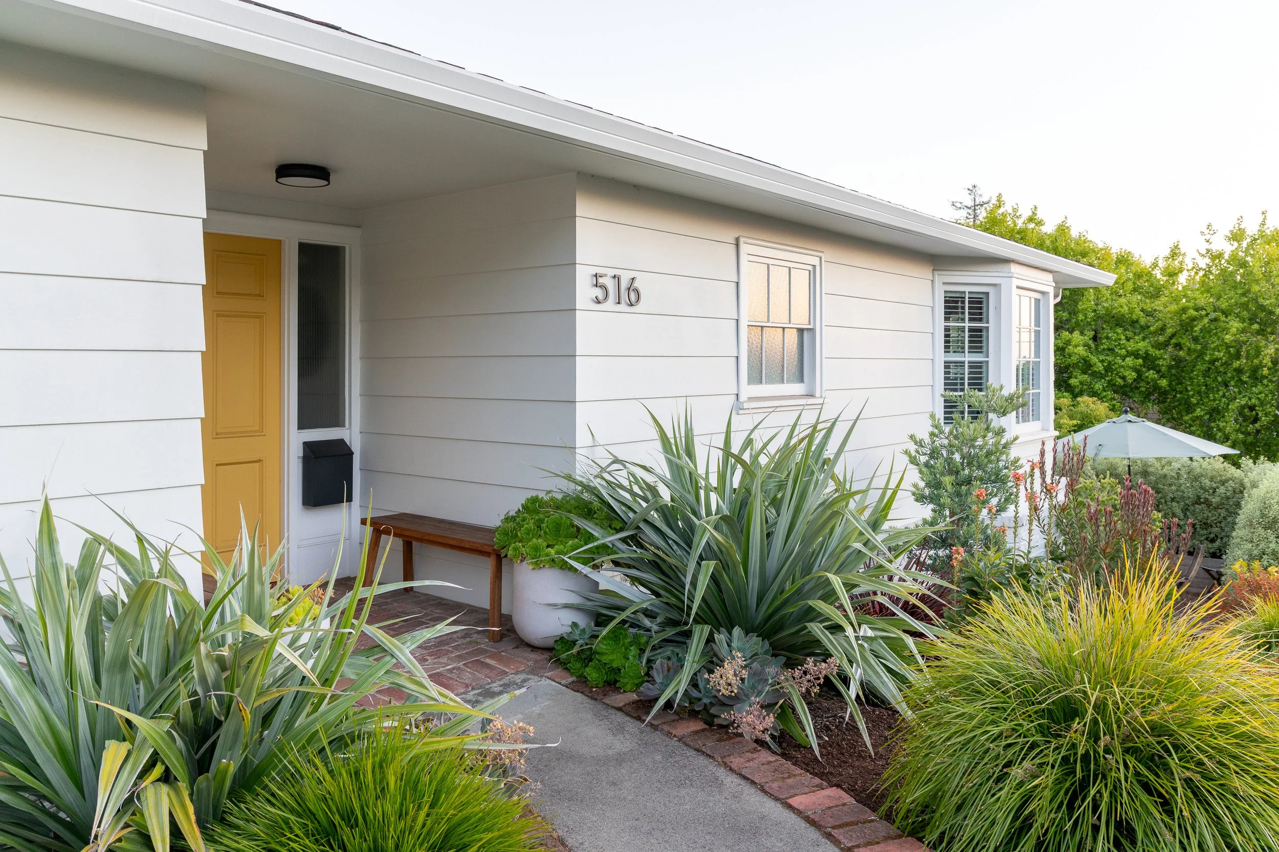 JudePM_Plant Stars_Phillips-8491.jpg