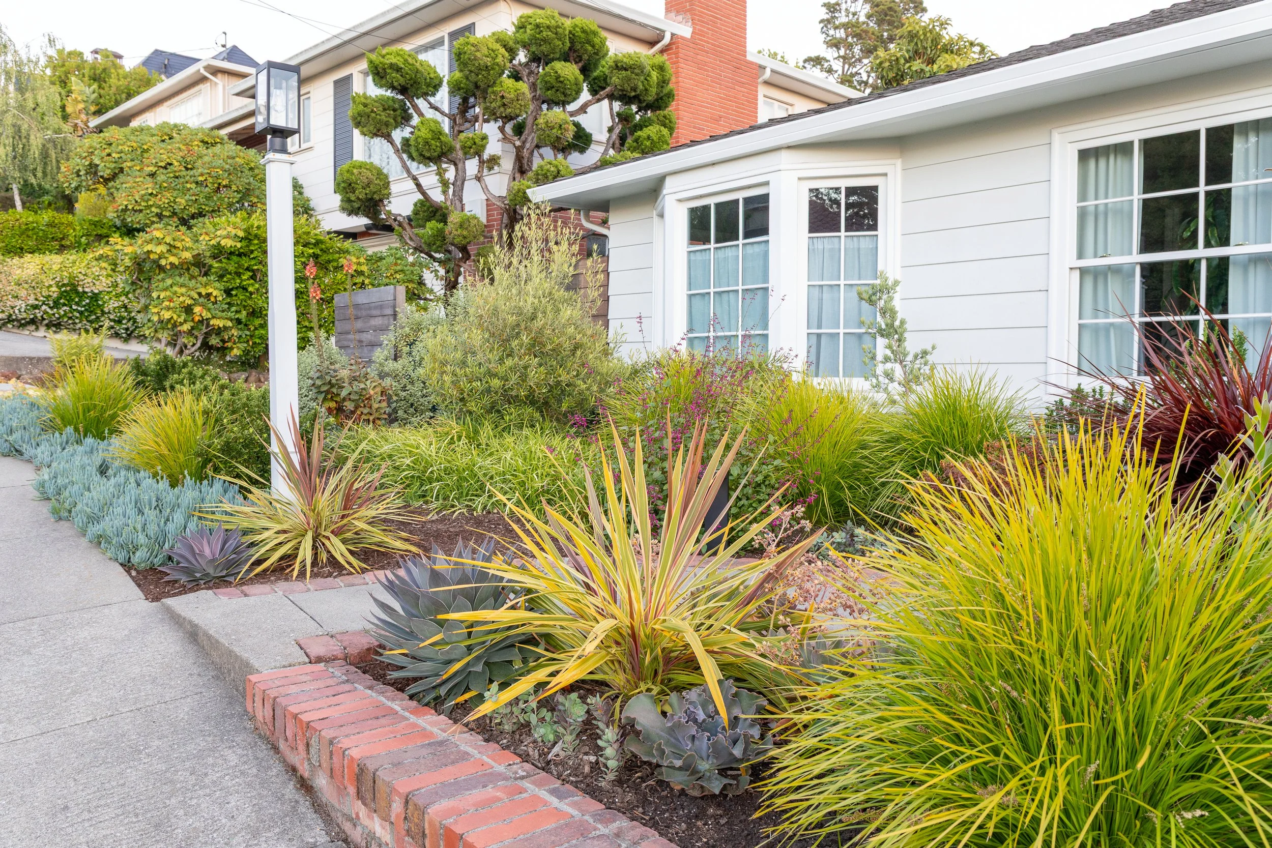 JudePM_Plant Stars_Phillips-8496.jpg