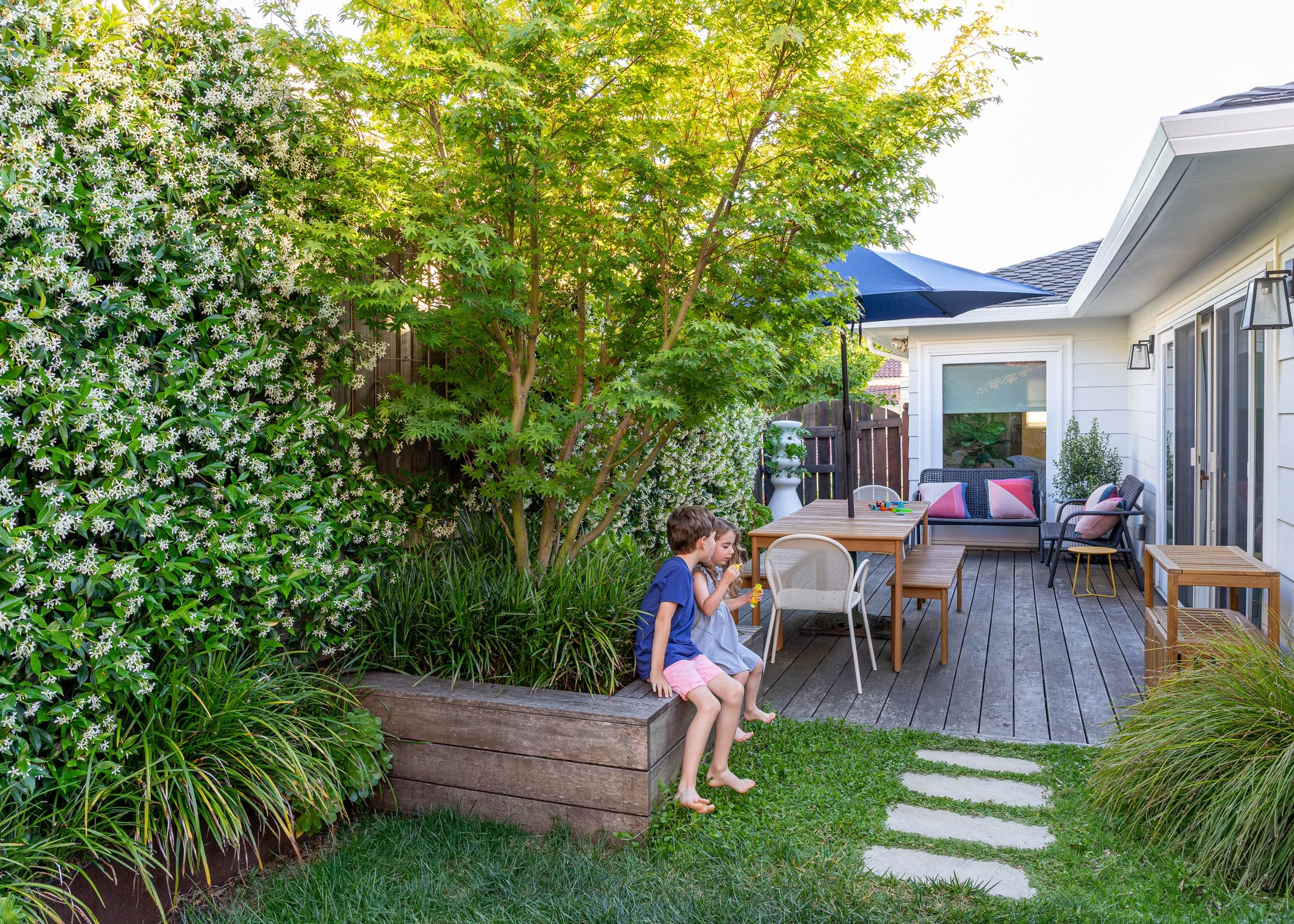 JudePM_Plant Stars_Phillips-8277.jpg