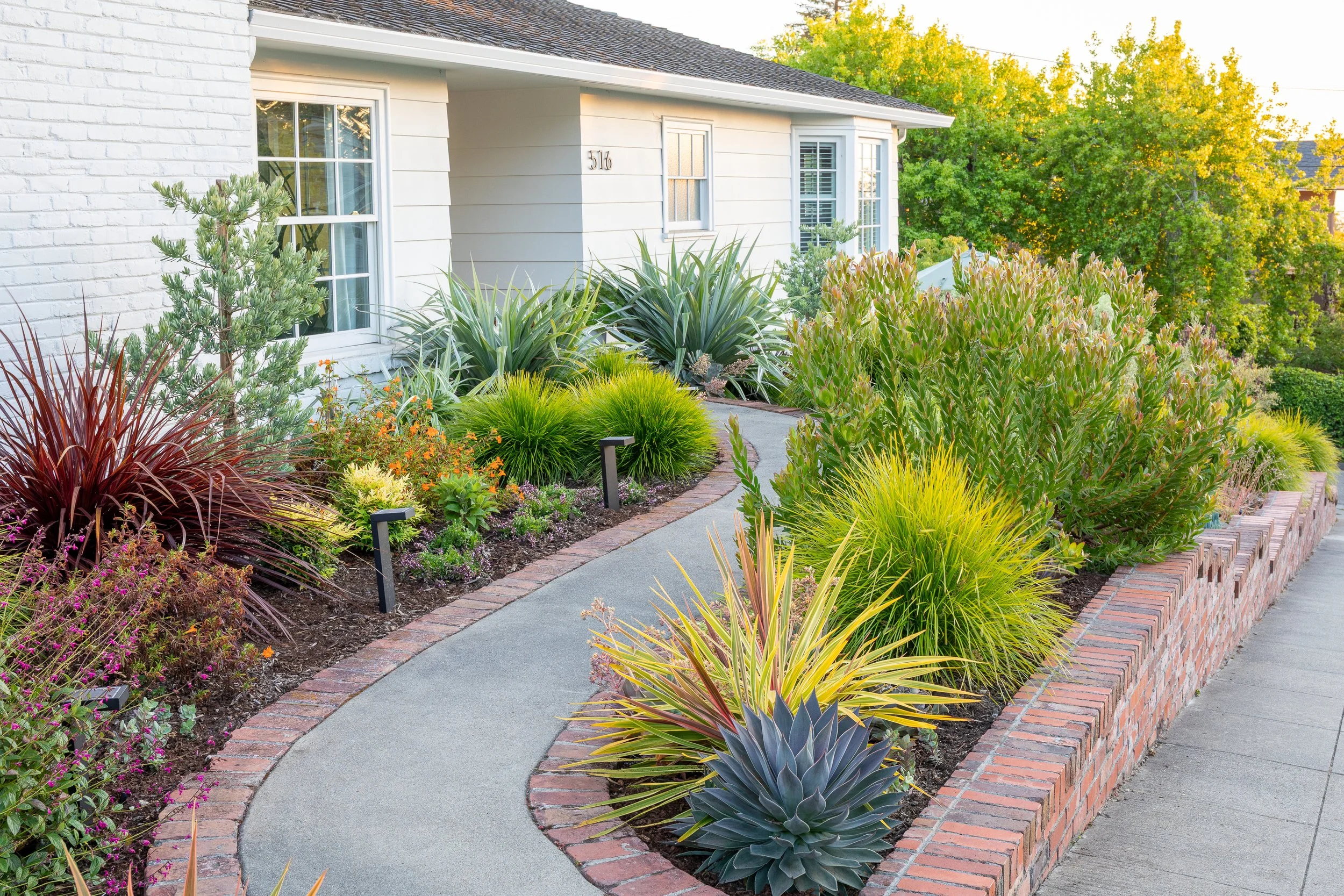 JudePM_Plant Stars_Phillips-8439.jpg