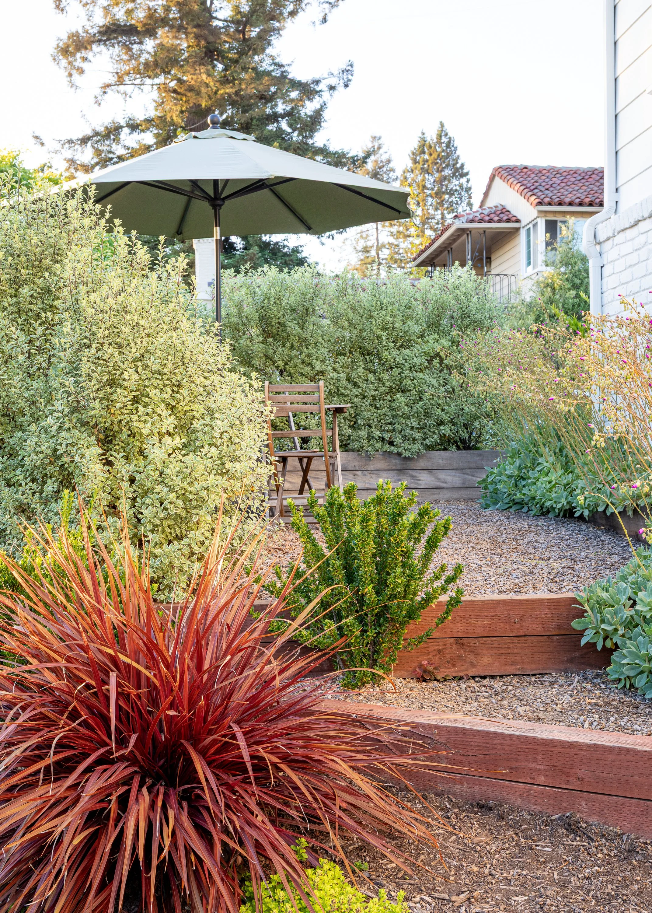 JudePM_Plant Stars_Phillips-8385.jpg