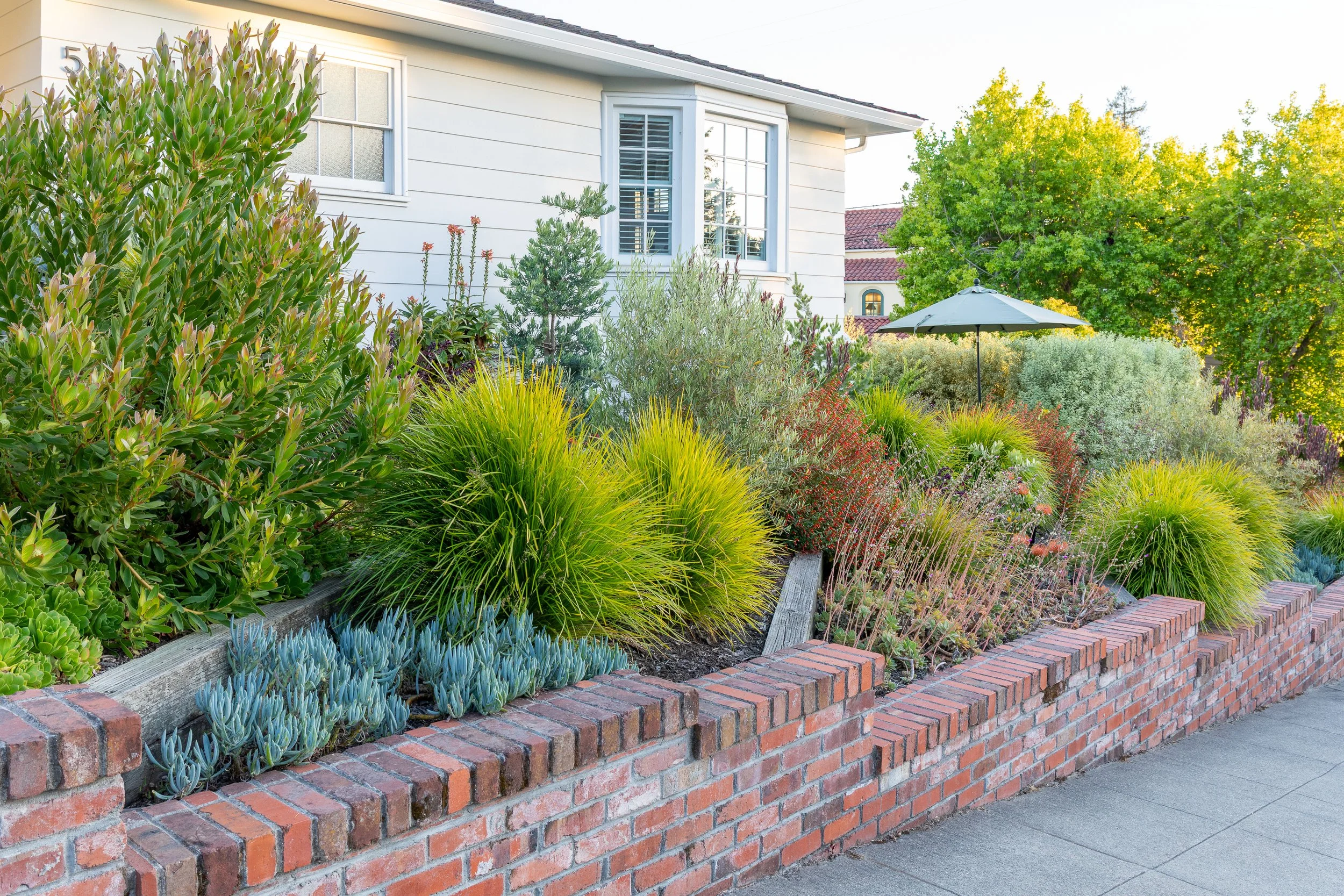 JudePM_Plant Stars_Phillips-8402.jpg