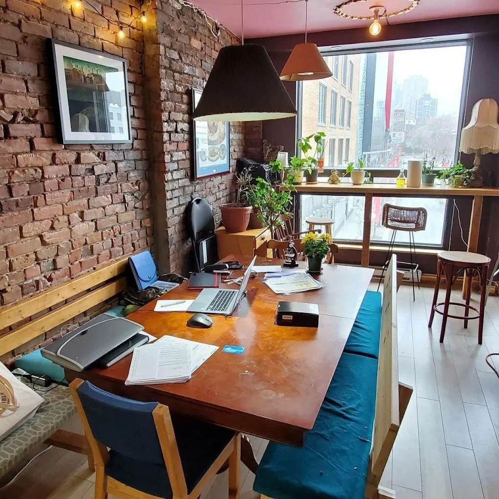 Vegan Digital Nomad's Guide to Montreal, Quebec: Best Coffee, Plant ...
