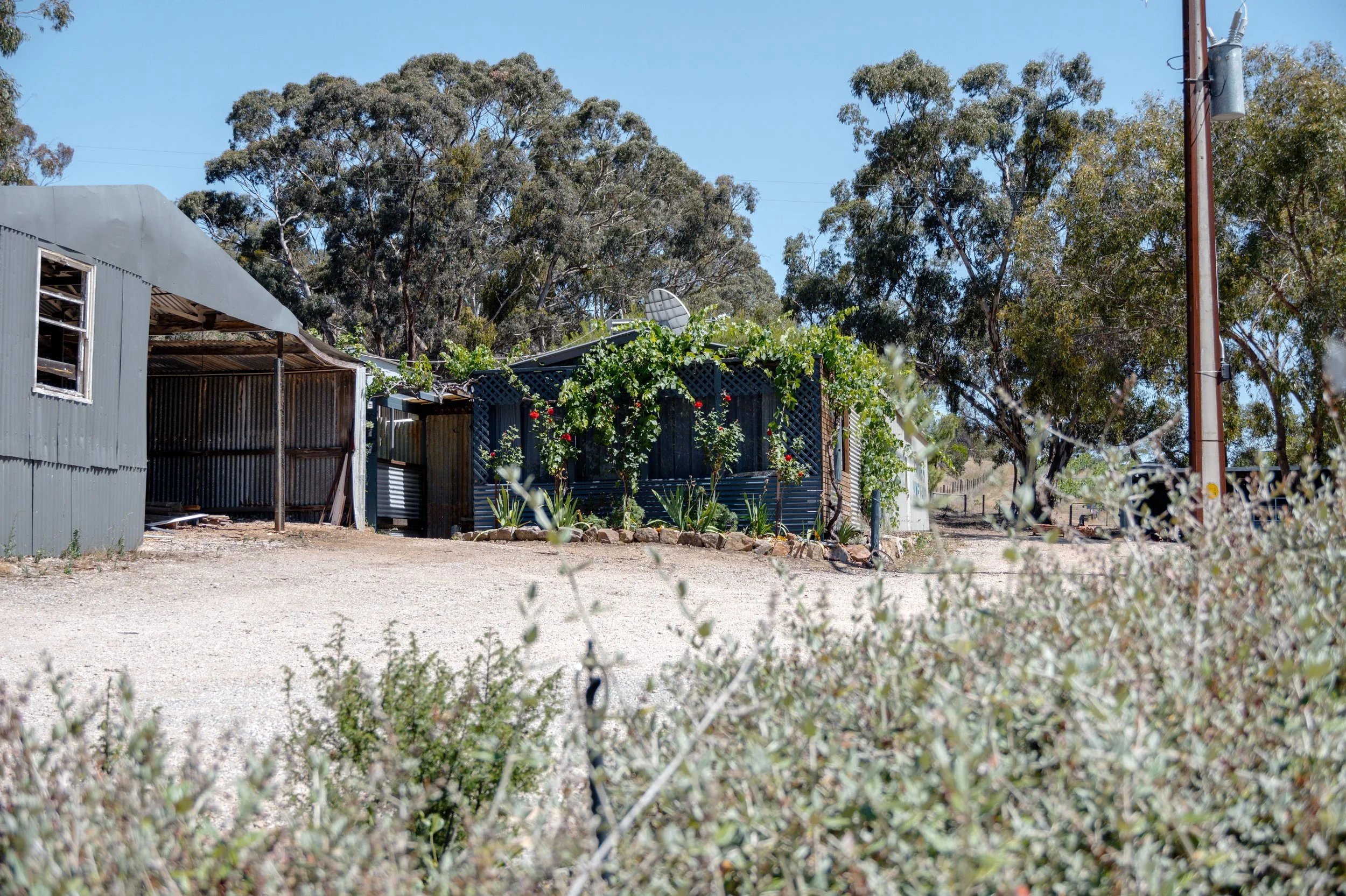 Untitled - 1 of 55.jpeg