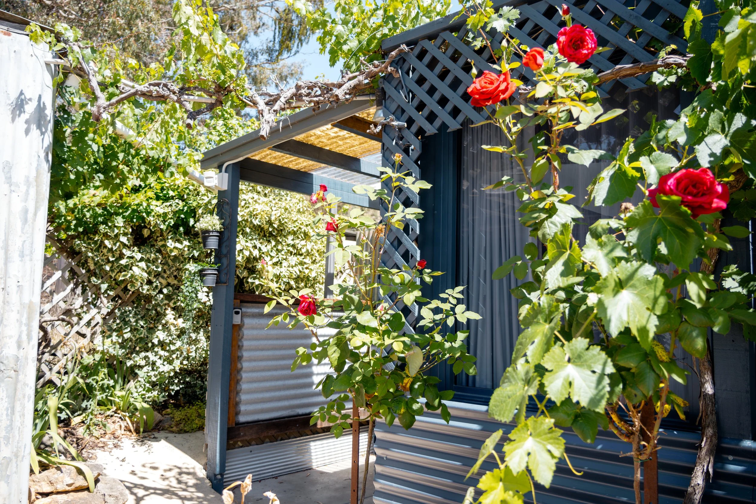 Untitled - 4 of 55.jpeg