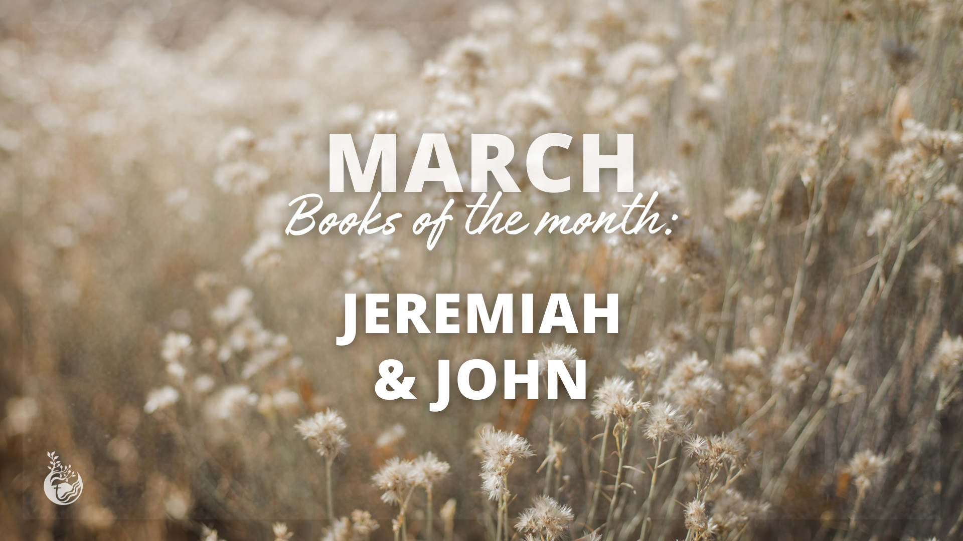 March Books of the Month