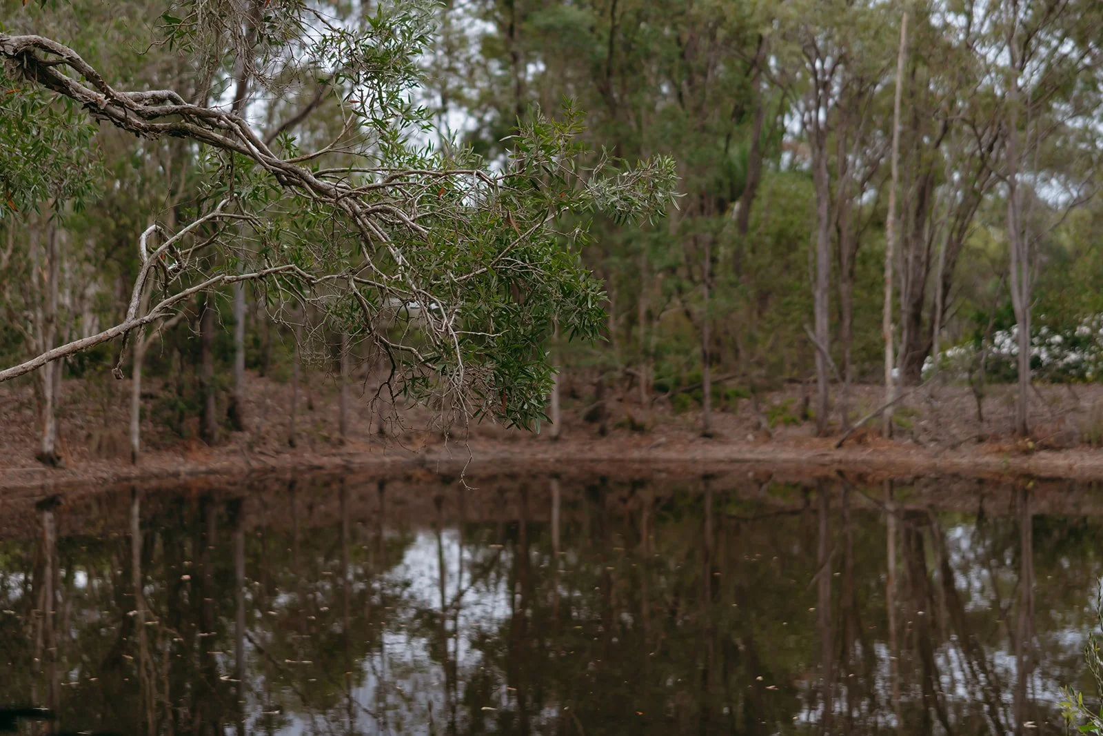 A&J vendor sneaks-7_websize.jpg