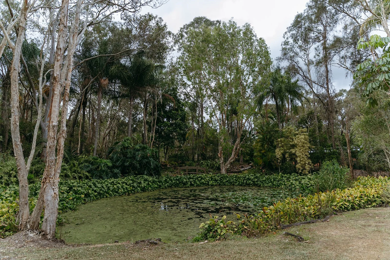 A&J vendor sneaks-13_websize.jpg