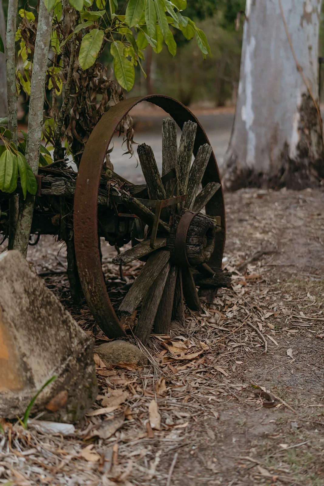 A&J vendor sneaks-15_websize.jpg