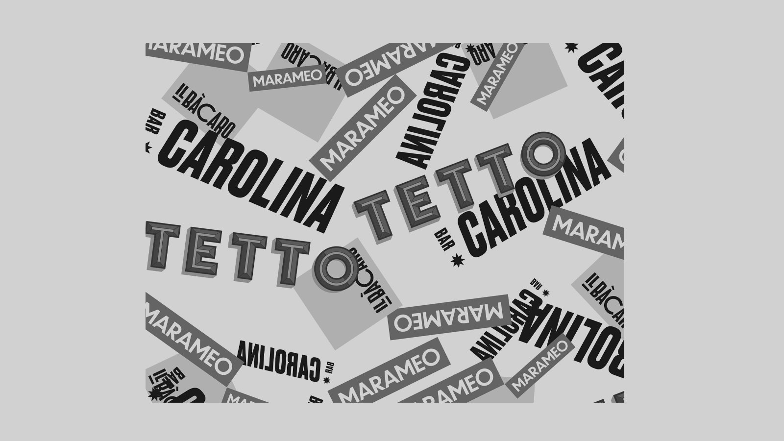 Carolina Group Logo-Grey.jpg