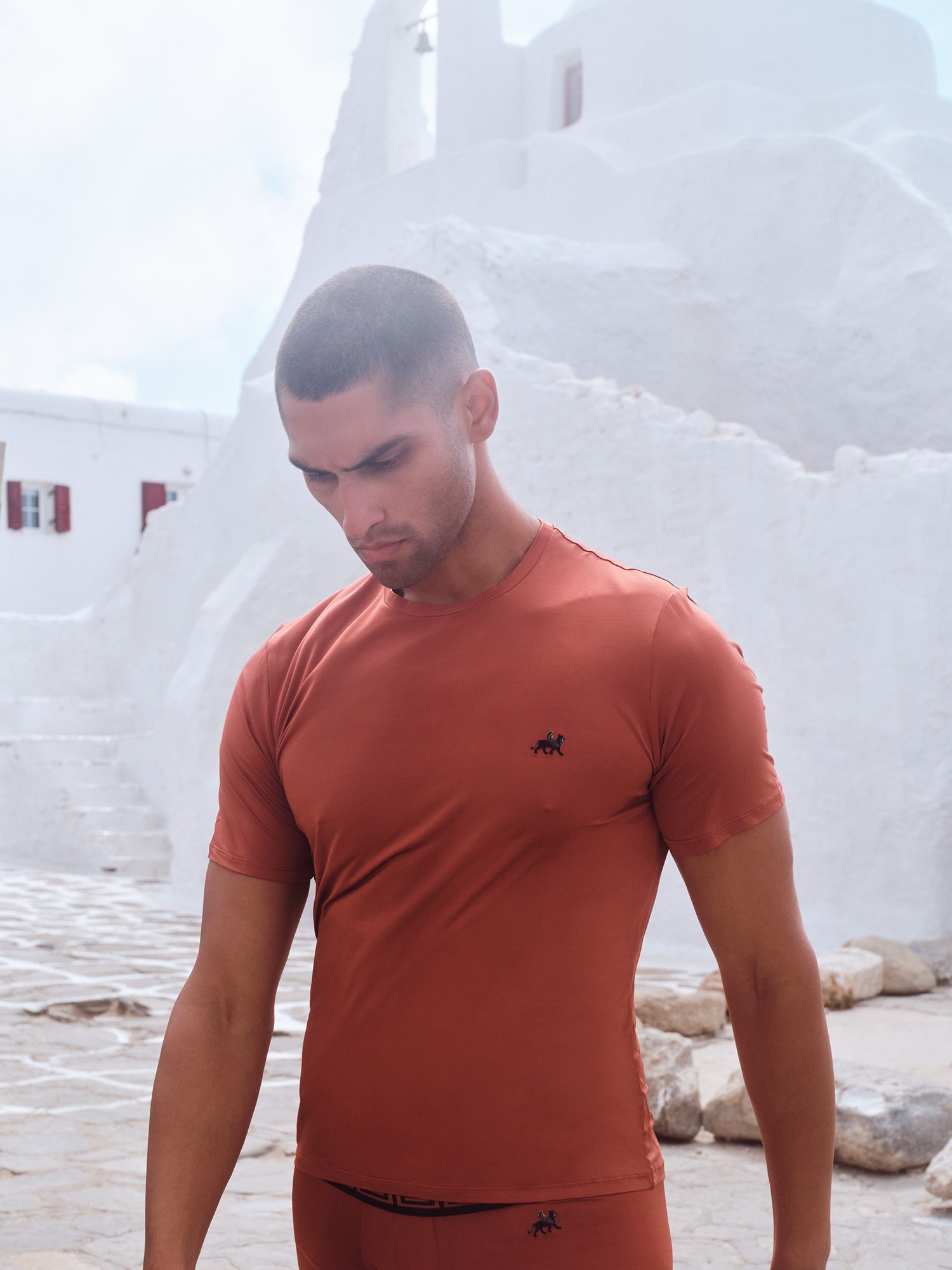 S-10-STRECTCH-VISCOSE-T-SHIRT-PURE-BRONZE_model1.jpg