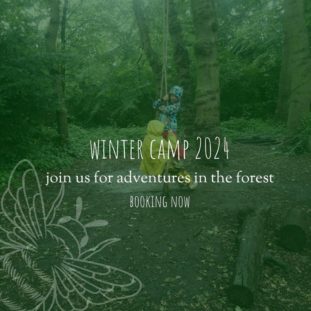 forest school &amp; nature connection in the half term holiday

tuesday 13th - friday 16th february 2024
6-11yr olds. 

all information in bio or here: www.kinshipinnature.com/camps