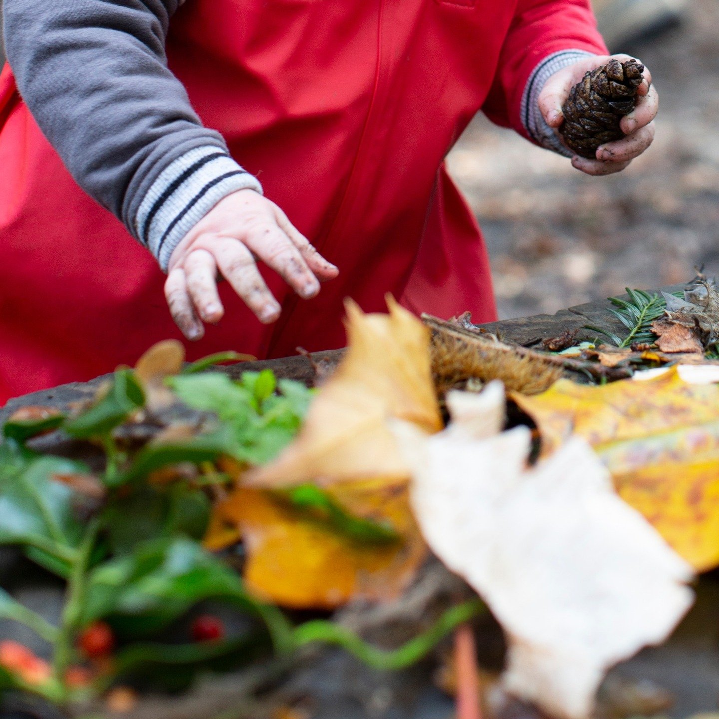 happy earth day! 

our weekday groups have started back in the forest today after the spring holidays.

we are sharing the 'fire bright' song (linked in comments) from @wilderthorn_wildones, the musical brainchild of kin's rosalyn, which she will sin