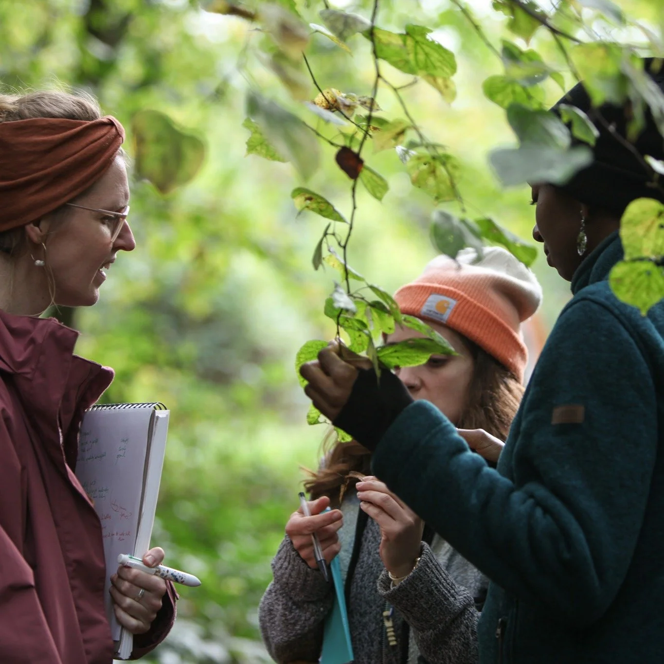 we are making 2026 our year for permaculture! we believe it will bring something very important to our work in the forest. permaculture really teaches earthcare, regenerative landbased skills and the practical knowledge needed to live/work/play in ri