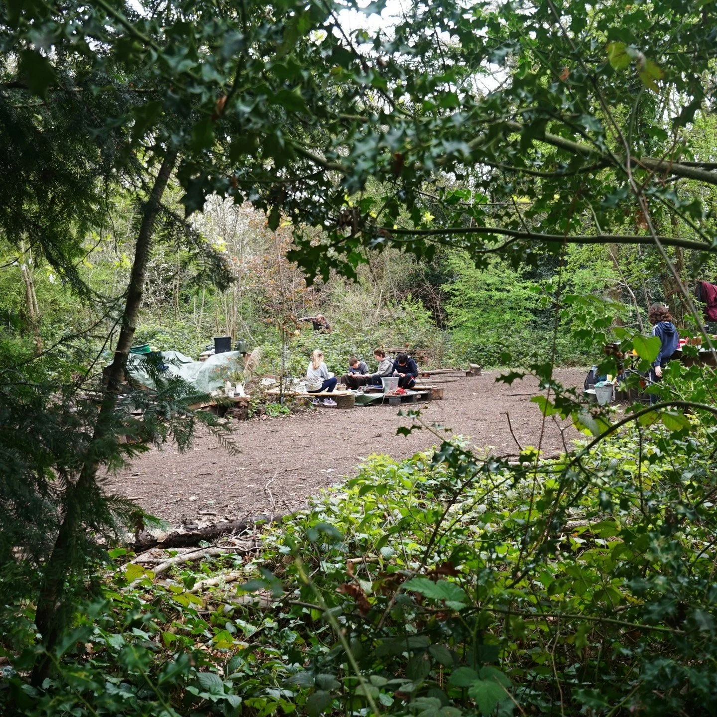 some glimpses into our most recent 𝐟𝐨𝐫𝐞𝐬𝐭 𝐜𝐚𝐦𝐩 and a few of the many things we got up to:

⭕🔥sat in circle around the fire for storytelling about bird language, warriors &amp; temples filled with treasure and listening to each other sharin