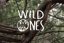 Wild Ones - music, stories & nature