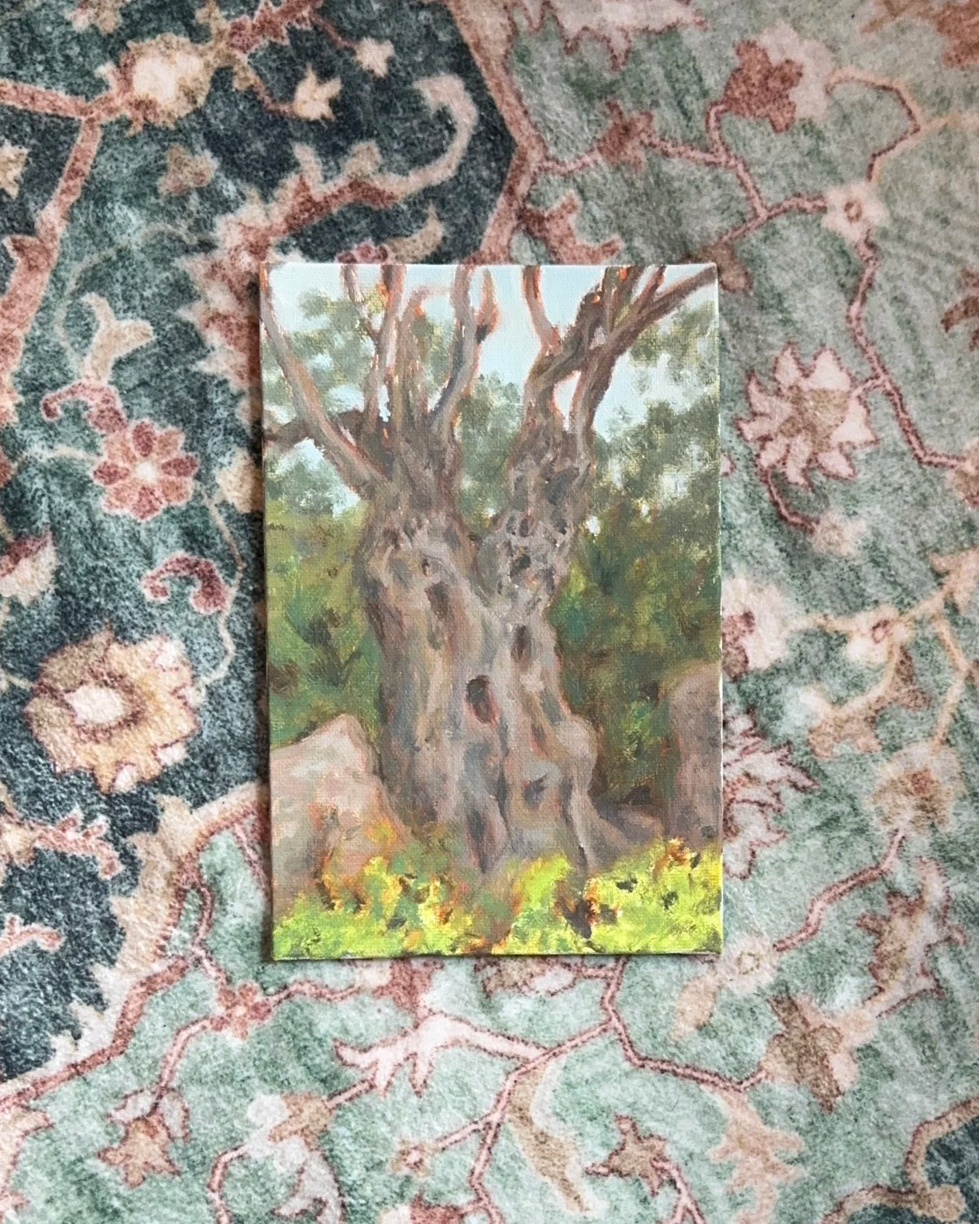 El Olivo, Oil on Panel, 5x7" - $80