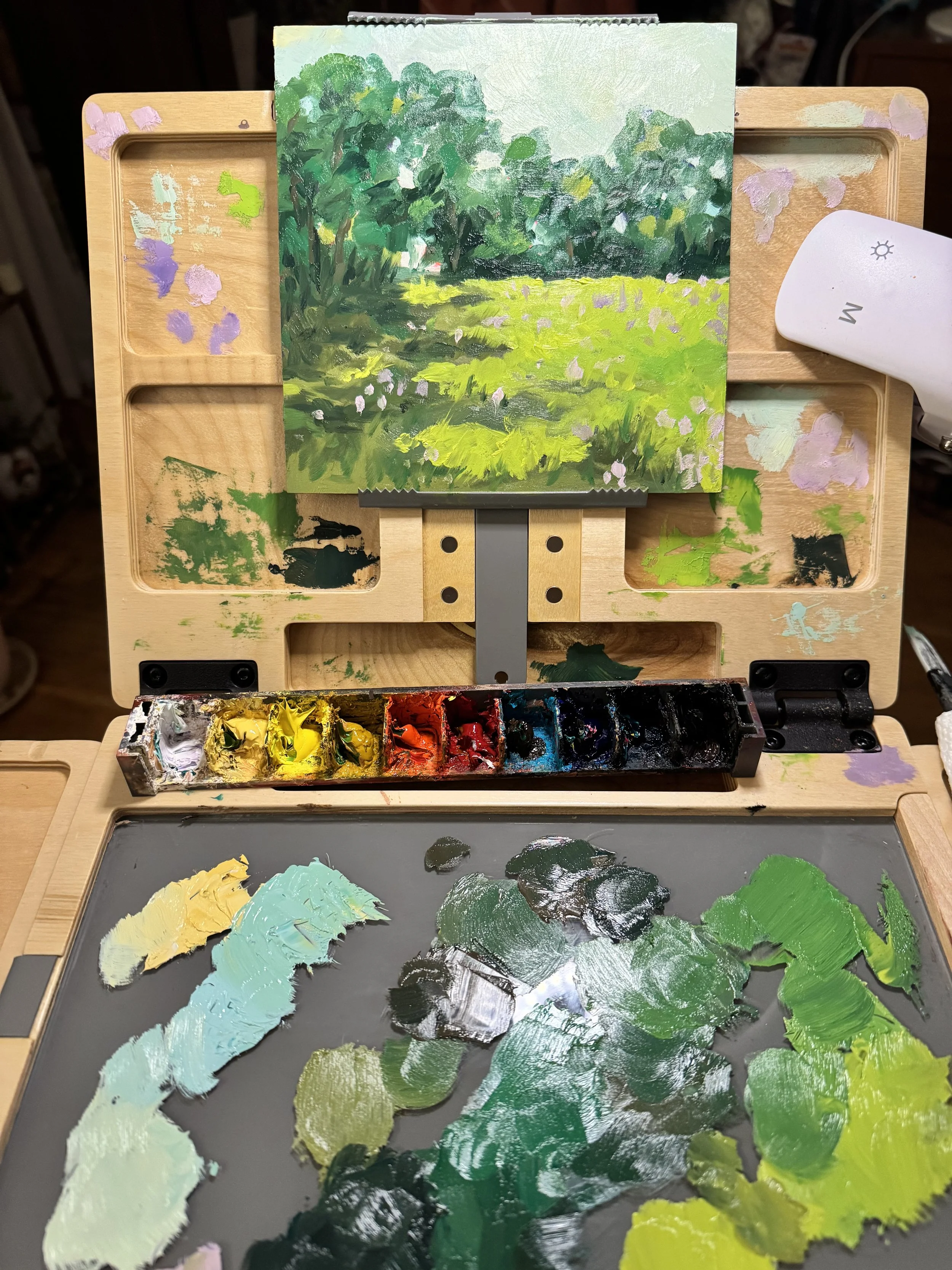 Spring landscape study
