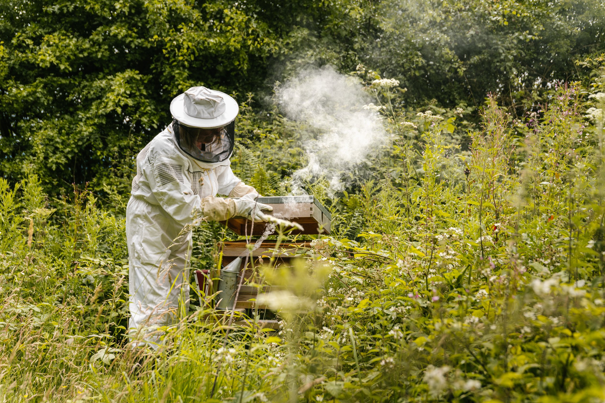 beekeeping at guardswell farm