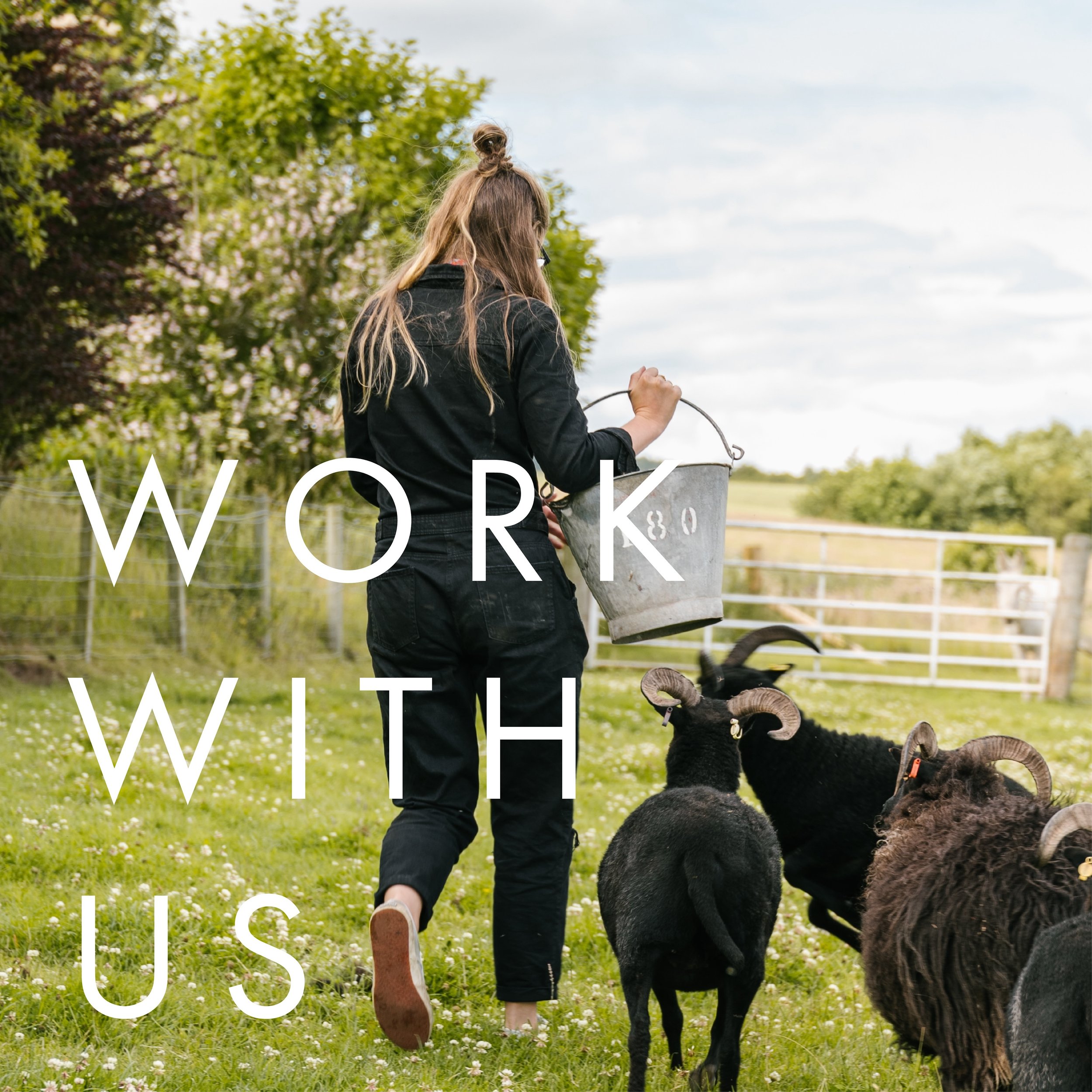 Work With Us. Is your dream day spent welcoming guests to the farm, lighting firepits, getting a space looking perfect with little jars of flowers or noticing the minutiae, planning activities and dog walks, thinking up ways to improve future stays (