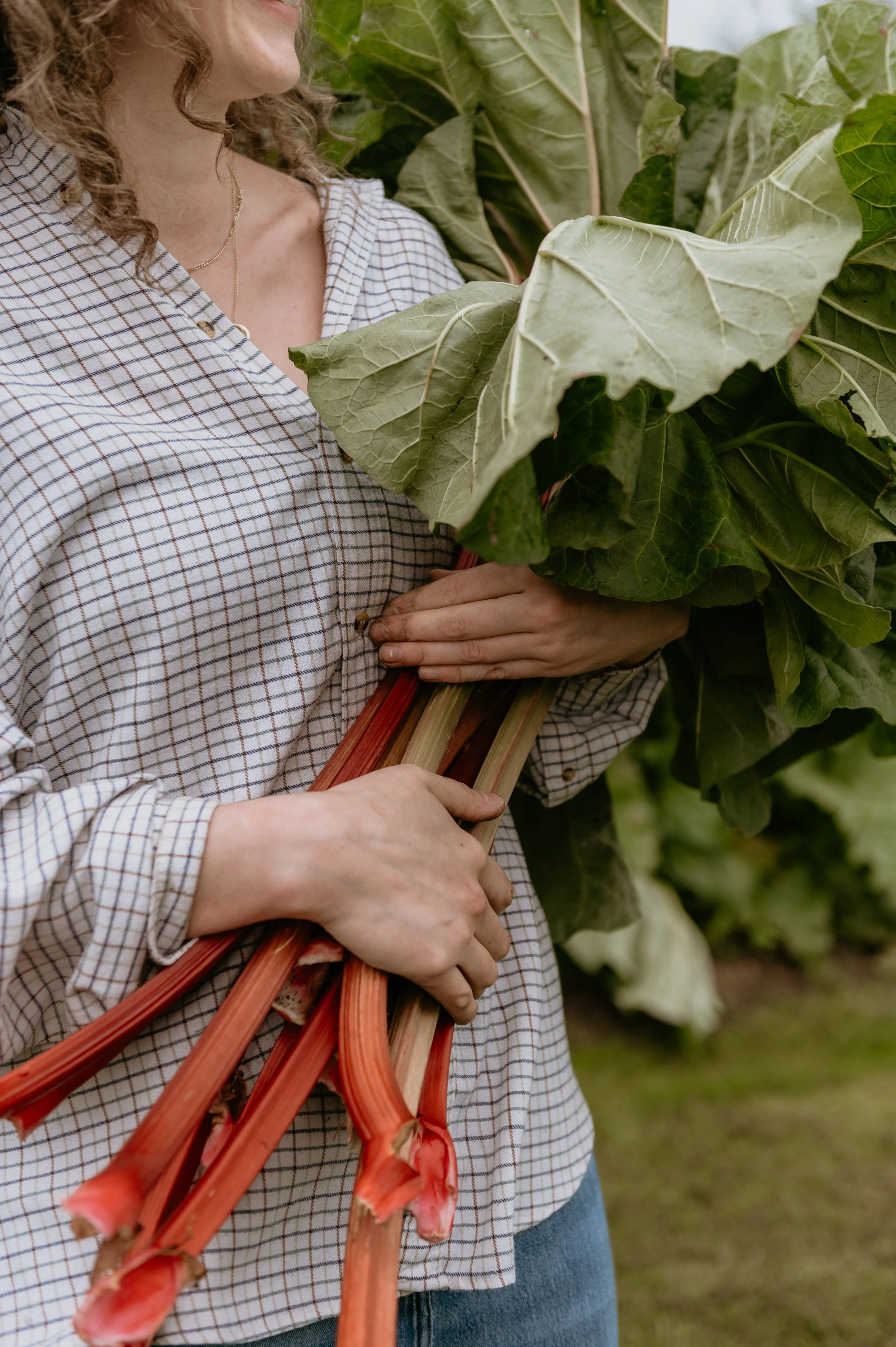 WORK WITH US IN 2026