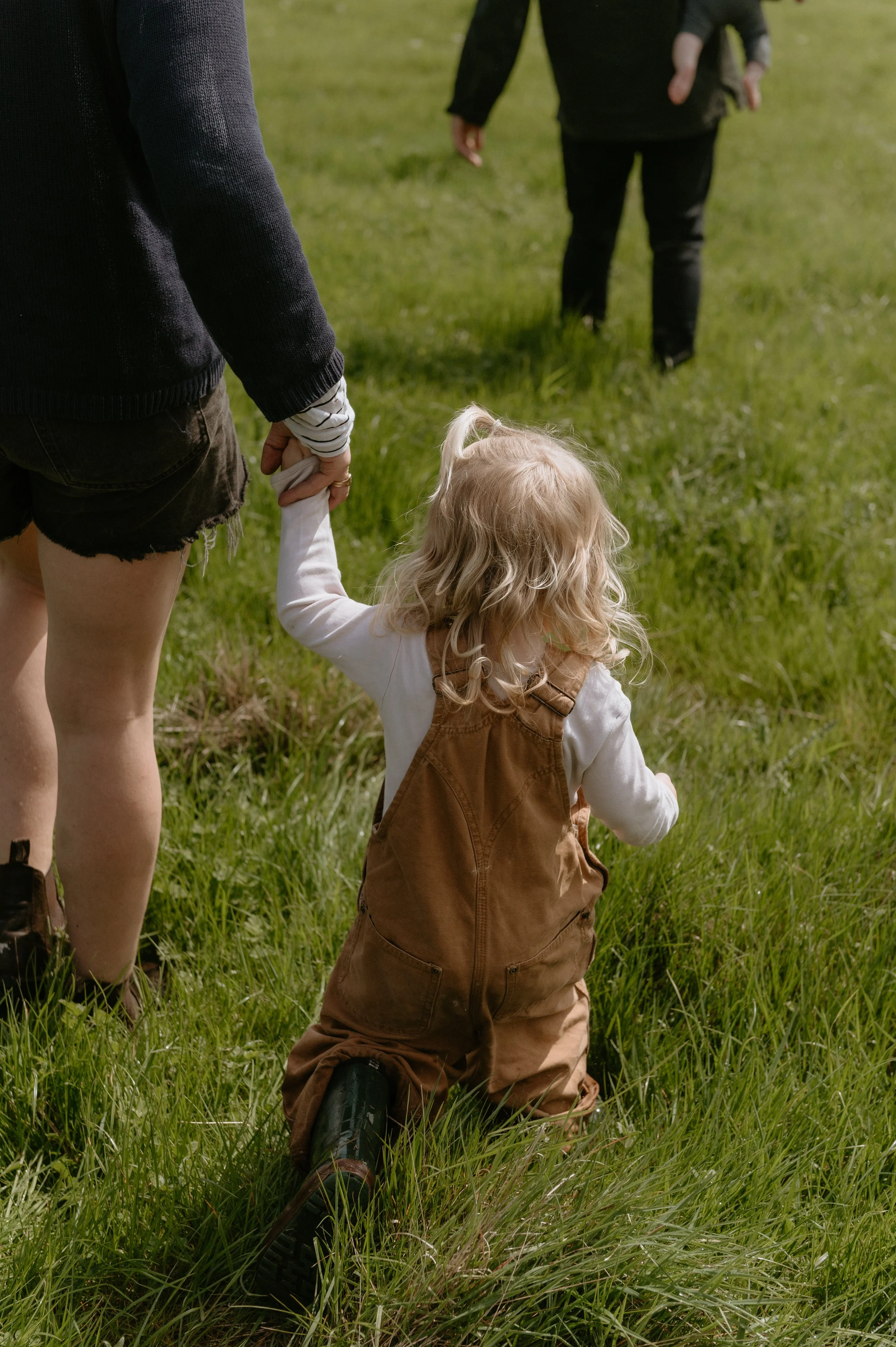 EASTER AT GUARDSWELL FARM