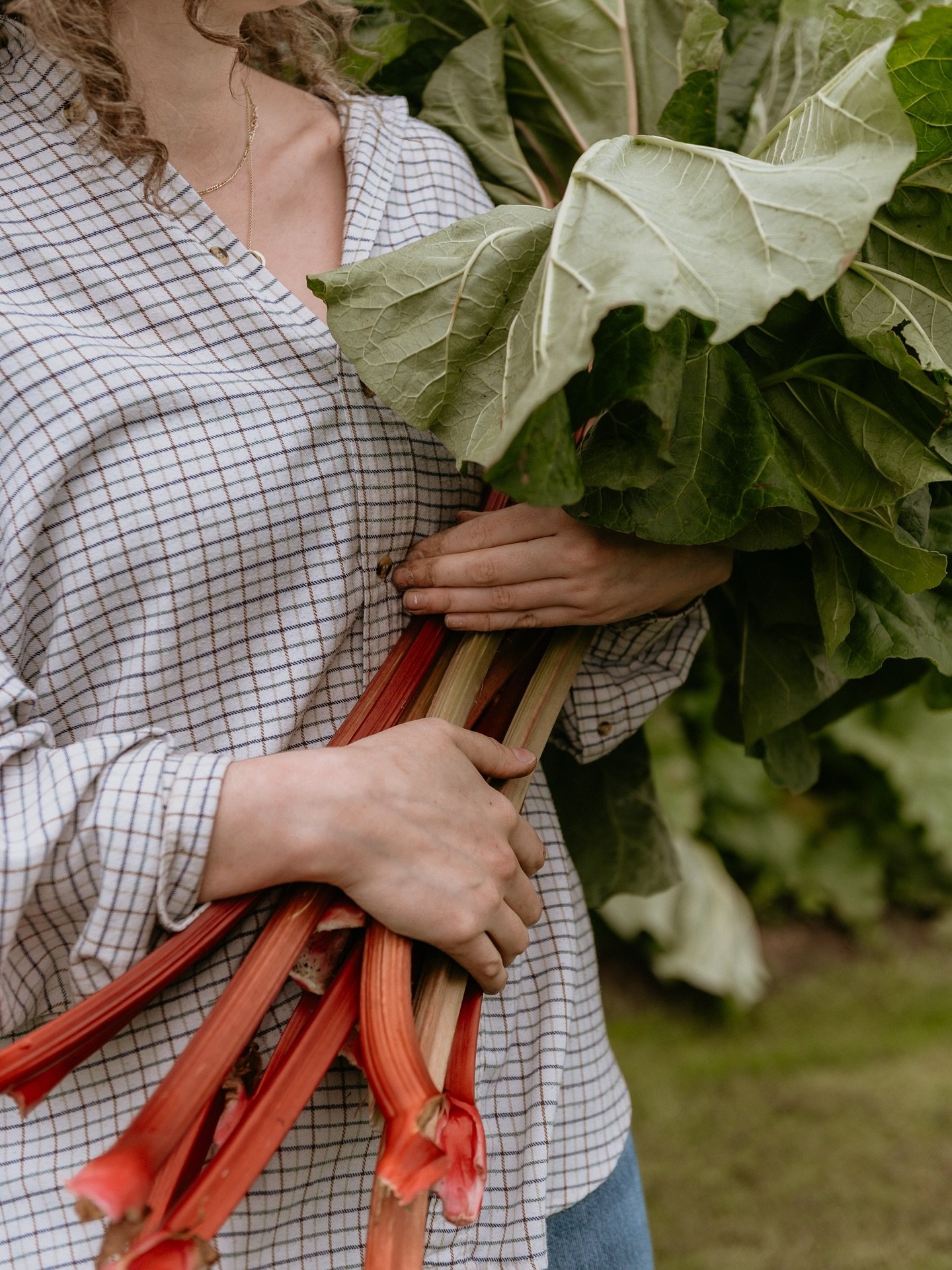 Fancy joining our team? We have a few roles that are excitedly seeking wonderful souls to fill them. From a full time position as Gardener (looking after all of our managed spaces on the farm), a part time @guardswellgrows role (which is a mix of lot