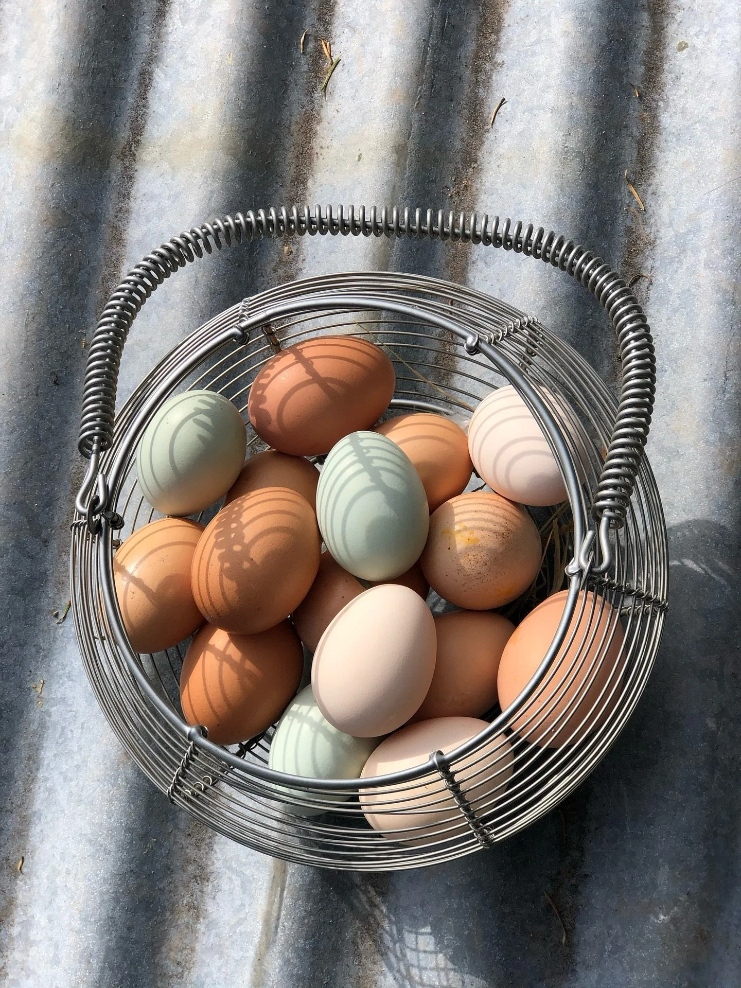 One sunny day and we&rsquo;re giddy with the joys of spring! Join us for Easter! Friday 3rd April- Monday 6th April. We&rsquo;ve been excitedly pulling together our plans- from natural egg dying, to donkey walks, beautiful outdoor storytelling, cooki