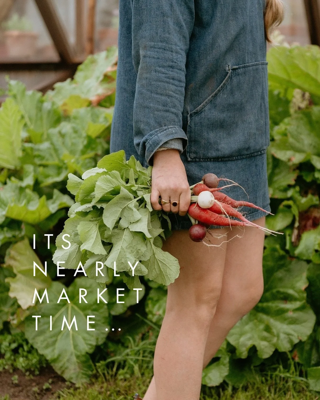 MARKETS 2026! They&rsquo;re nearly here! How has that simultaneously felt like the longest winter and also the shortest- surely we were chilling out on the lawn, eating @joelato_gelato and supporting some brilliant local farmers and producers only la