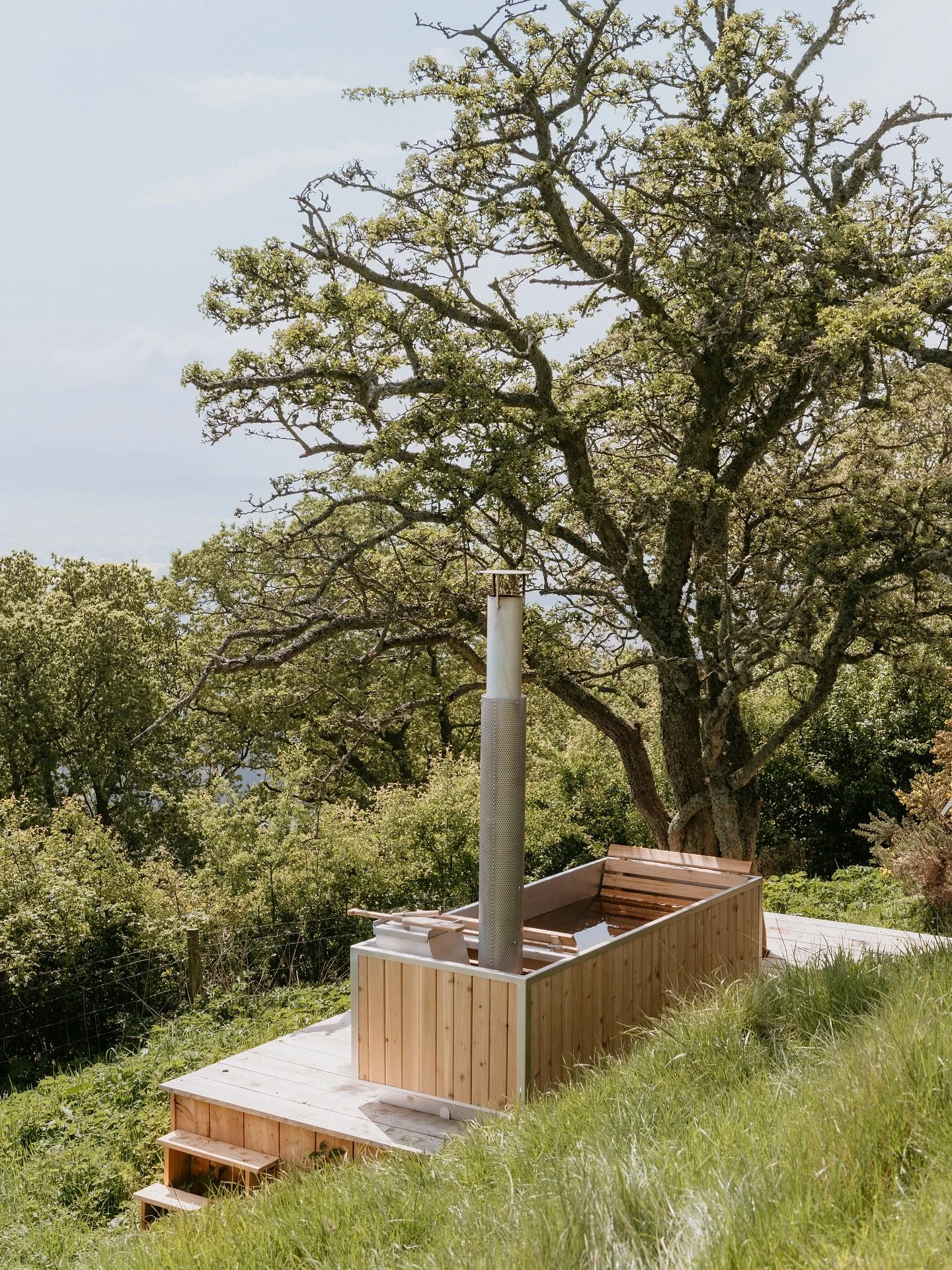&ldquo;Gives not the hawthorn-bush a sweeter shade
To shepherds looking on their silly sheep,
Than doth a rich embroider&rsquo;d canopy
To kings that fear their subjects&rsquo; treachery?&rdquo; Henry VI, Shakespeare. #guardswell #guardswellfarm #far