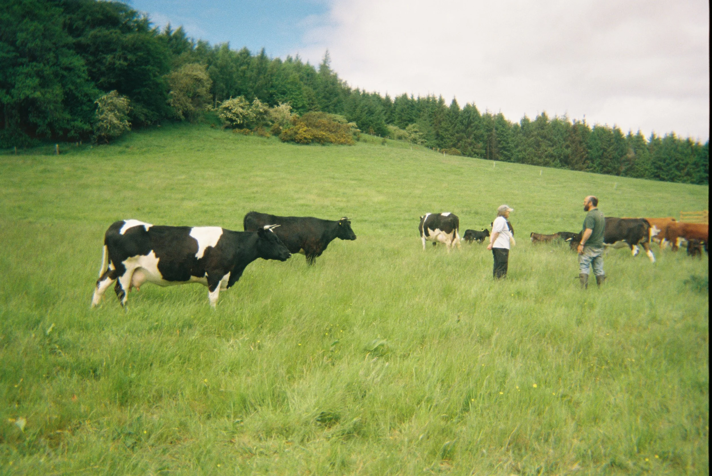 WORK WITH US: REGENERATIVE FARM WORKER