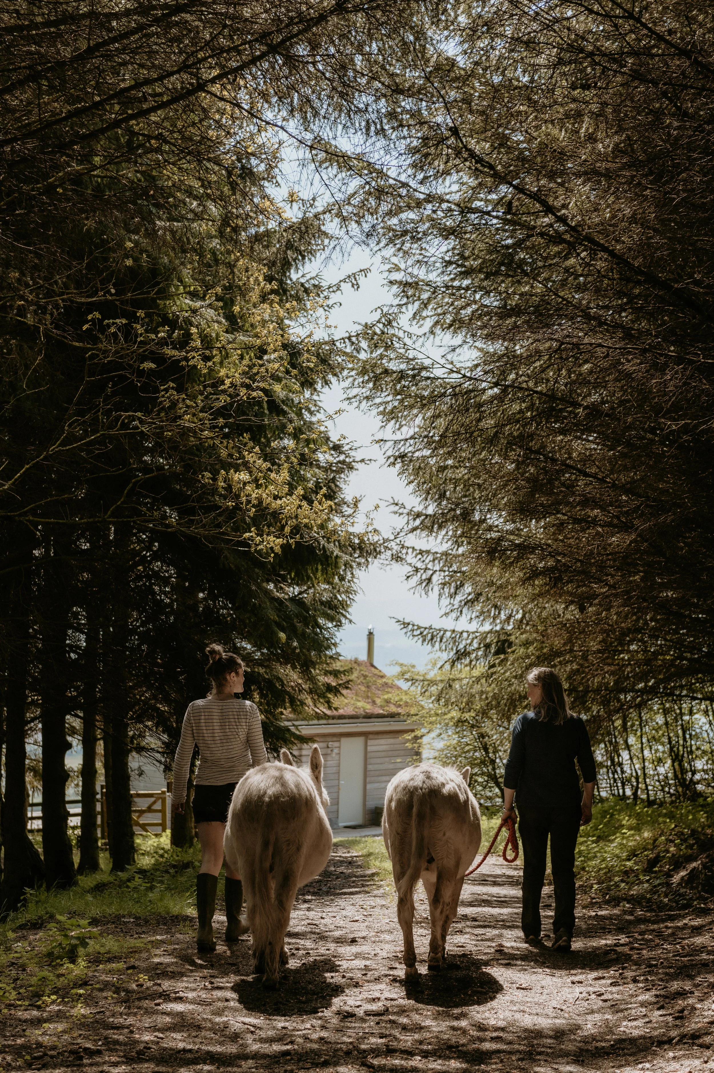 EASTER AT GUARDSWELL FARM