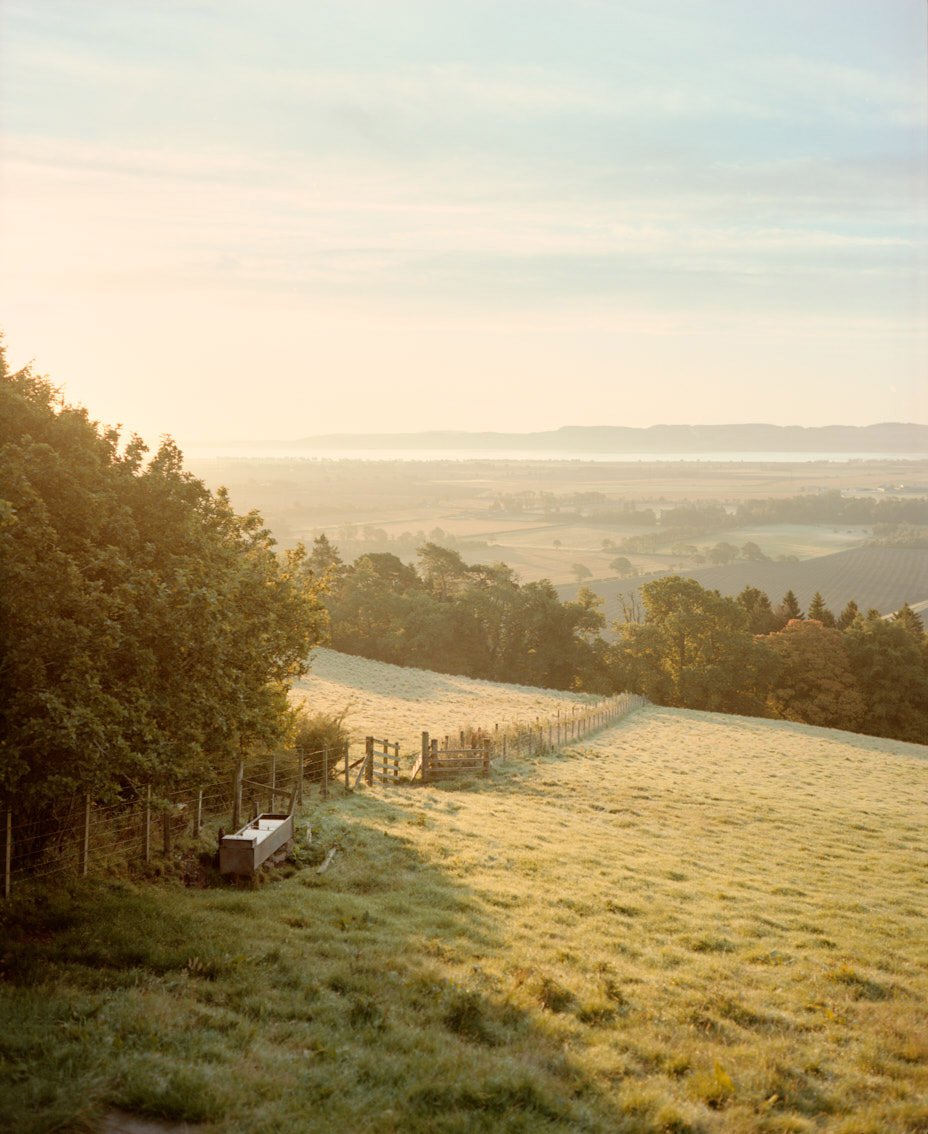 a sunny day overlooking the carse of gowrie at guardswell farm