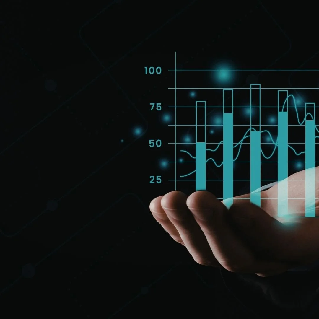 DATA SCRUTINY PANEL&nbsp;October 2025