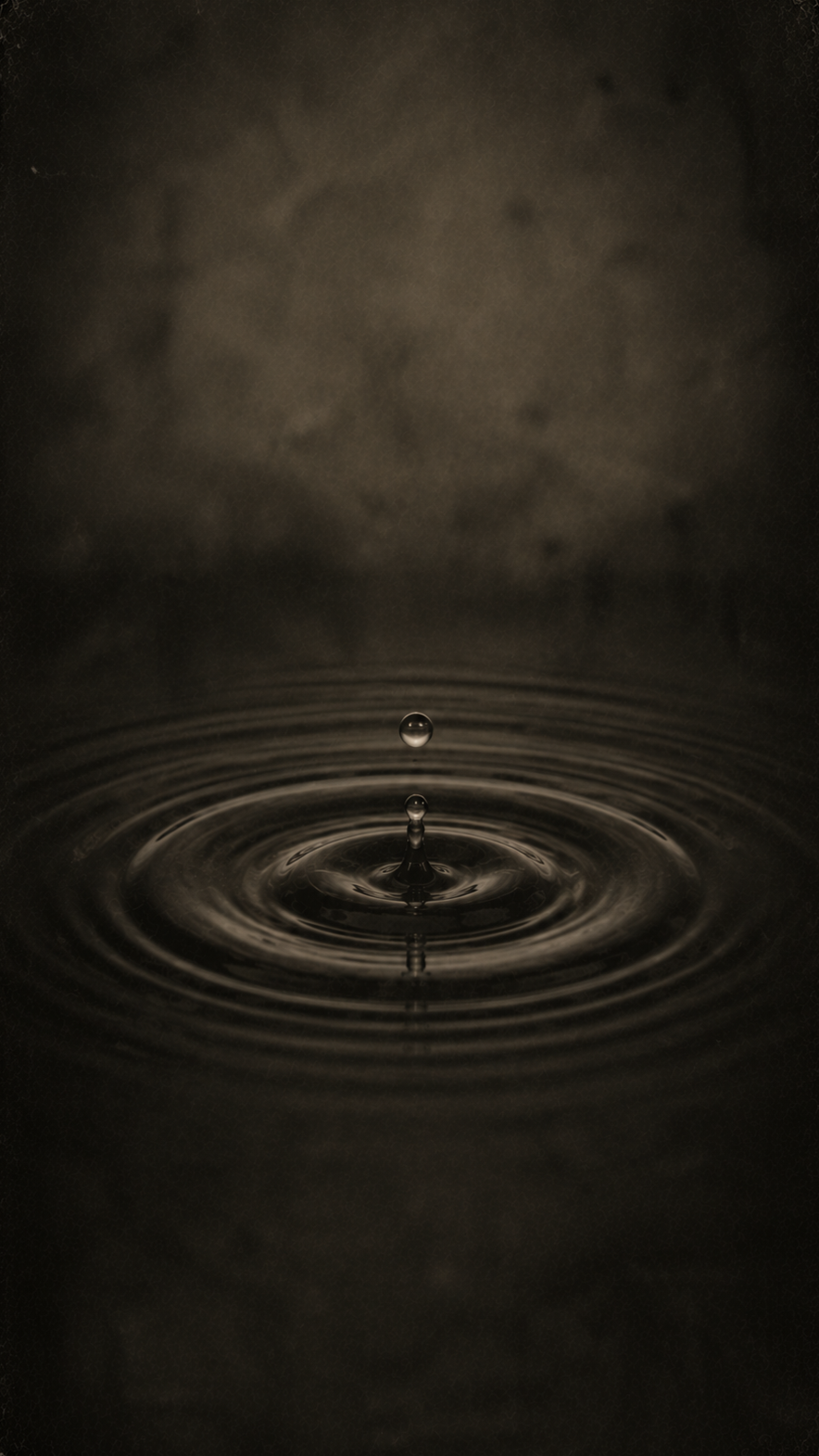 763A6C2A-7102-4F7E-B261-32D068412CC7.png
