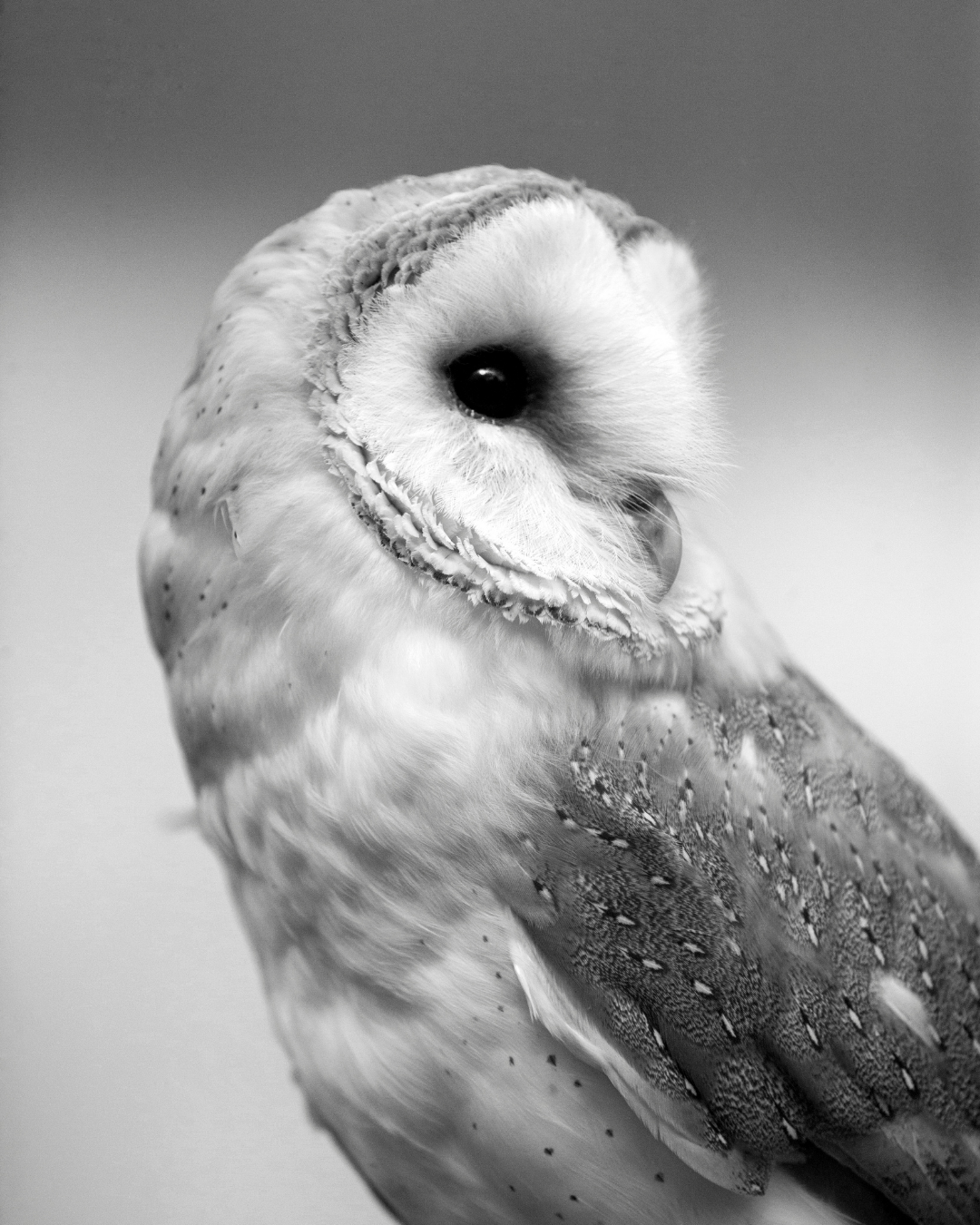 initiation médiumnité