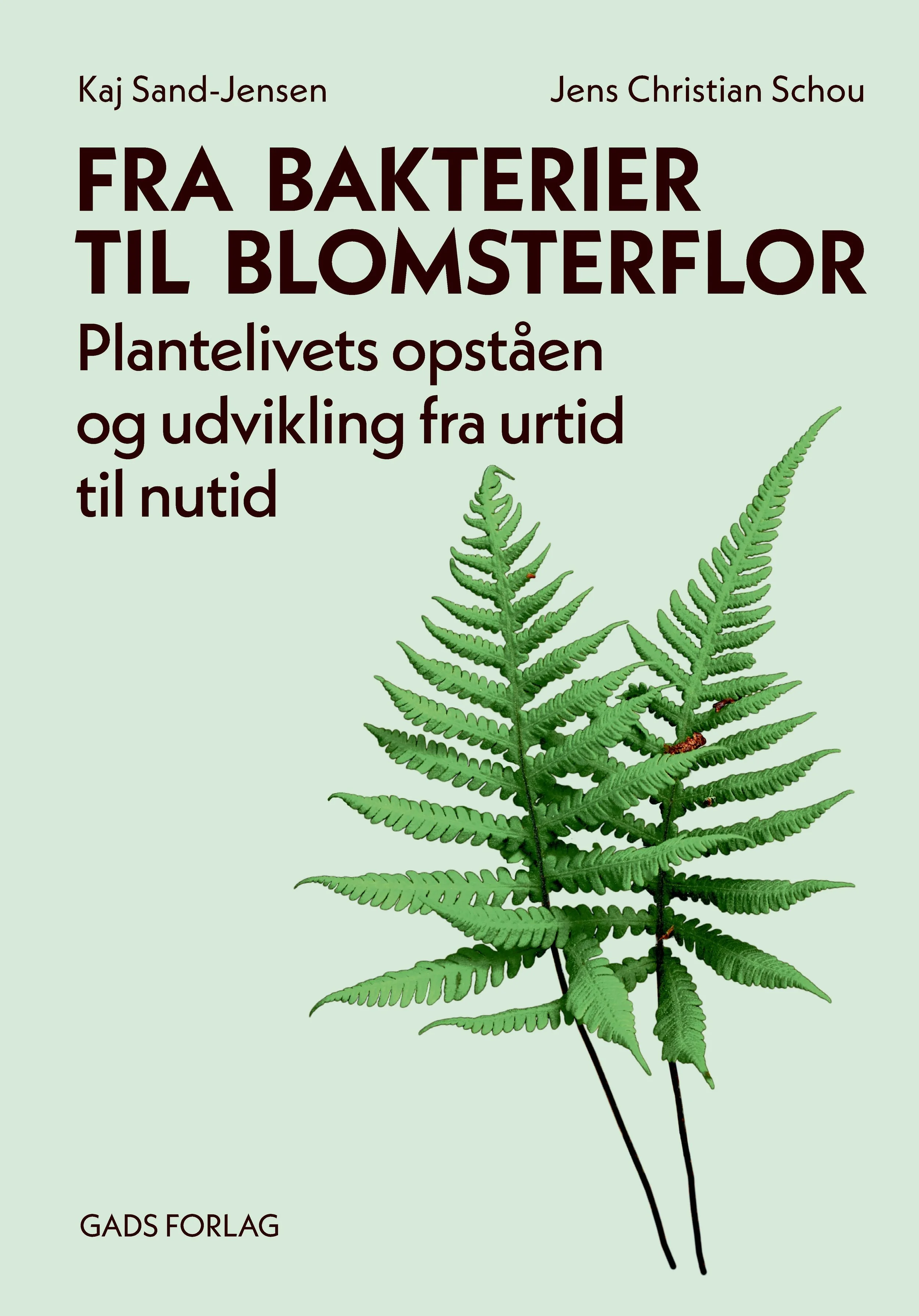 Växter från urtid till nutid