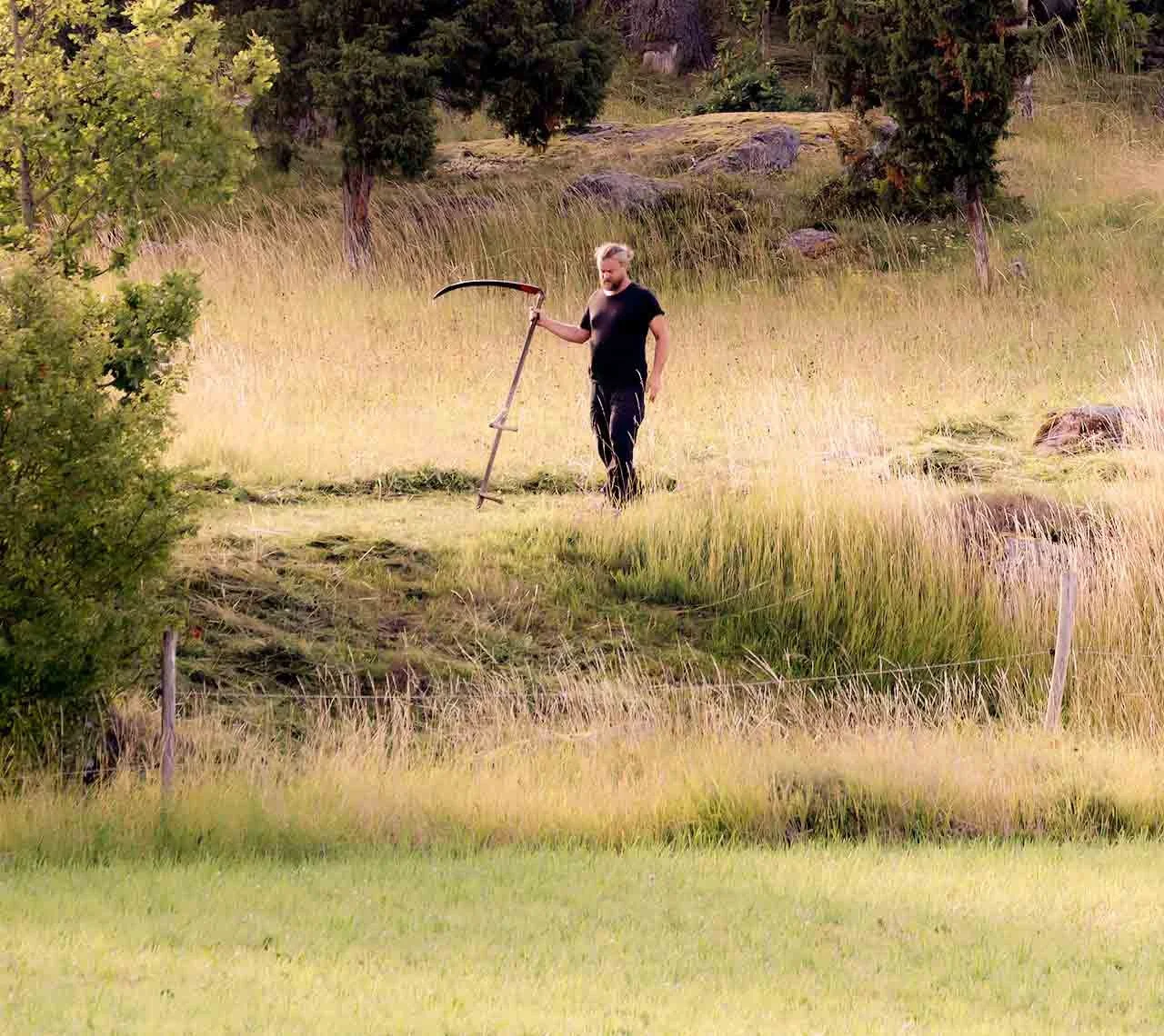 STOCKHOLM: Konferens om restaurering för levande landskap i Sverige