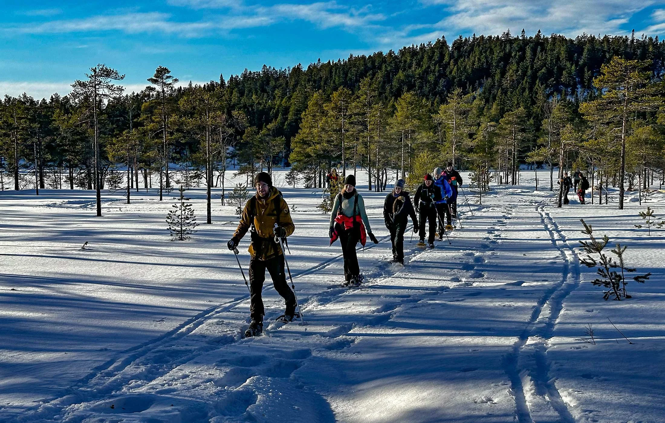 När det är tillräckligt med snö färdas vi med skidor eller snöskor. Bilden är från Gyllbergen i Dalarna.